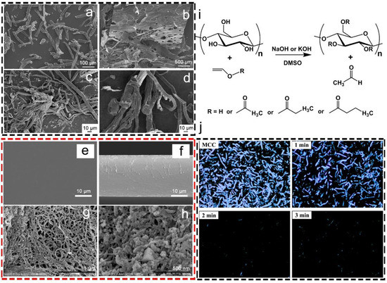 Nanomaterials 13 01489 g005