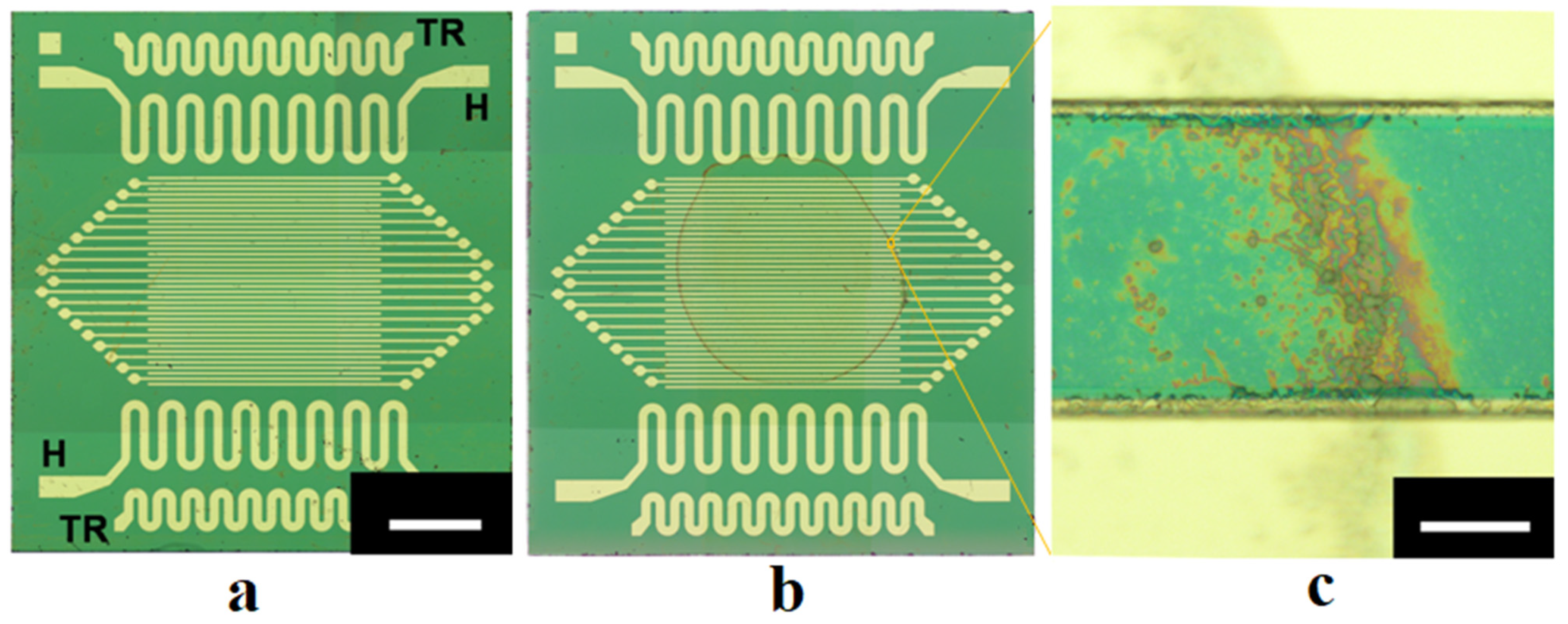 Nanomaterials 13 01490 g001