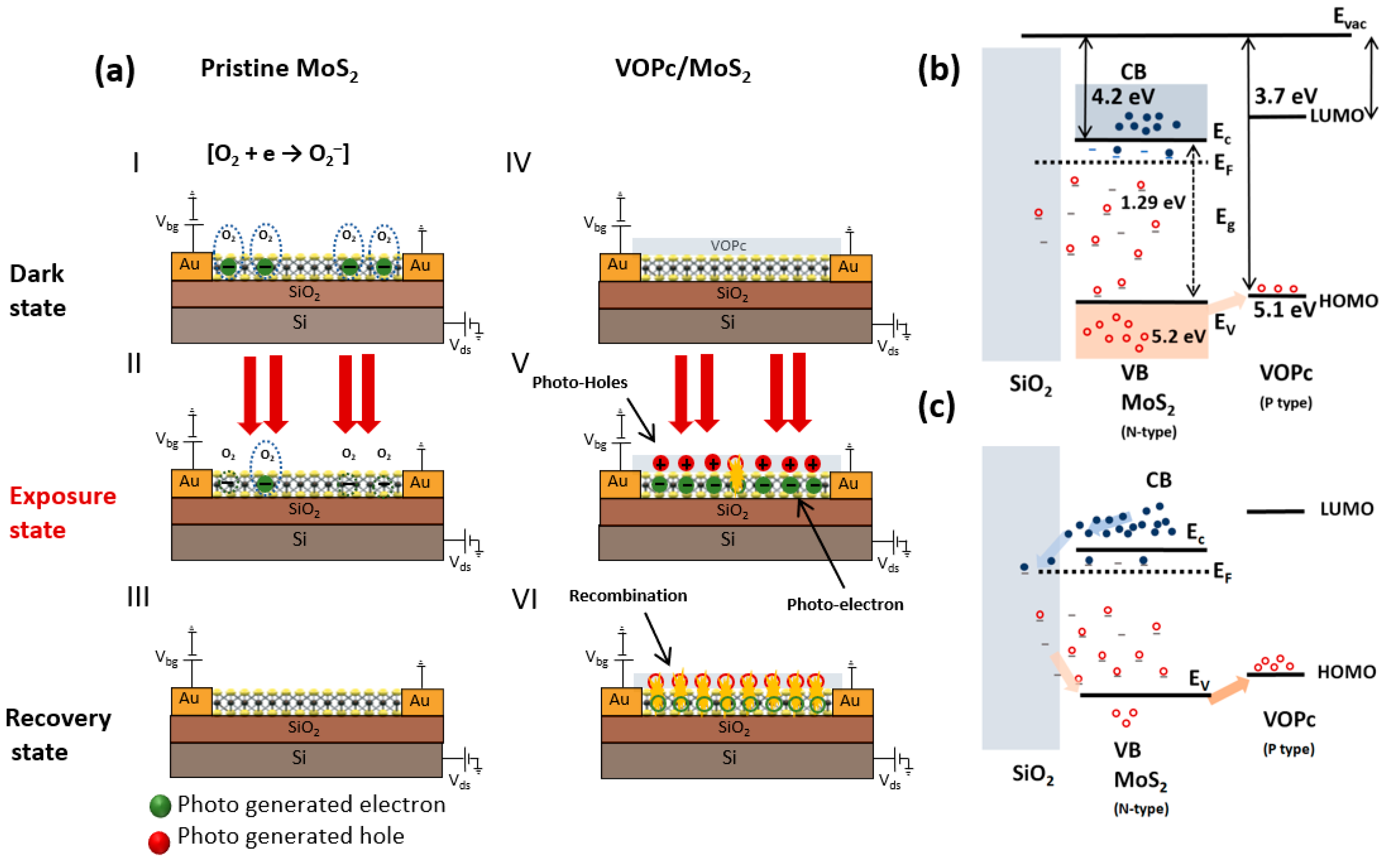 Nanomaterials 13 01491 g003