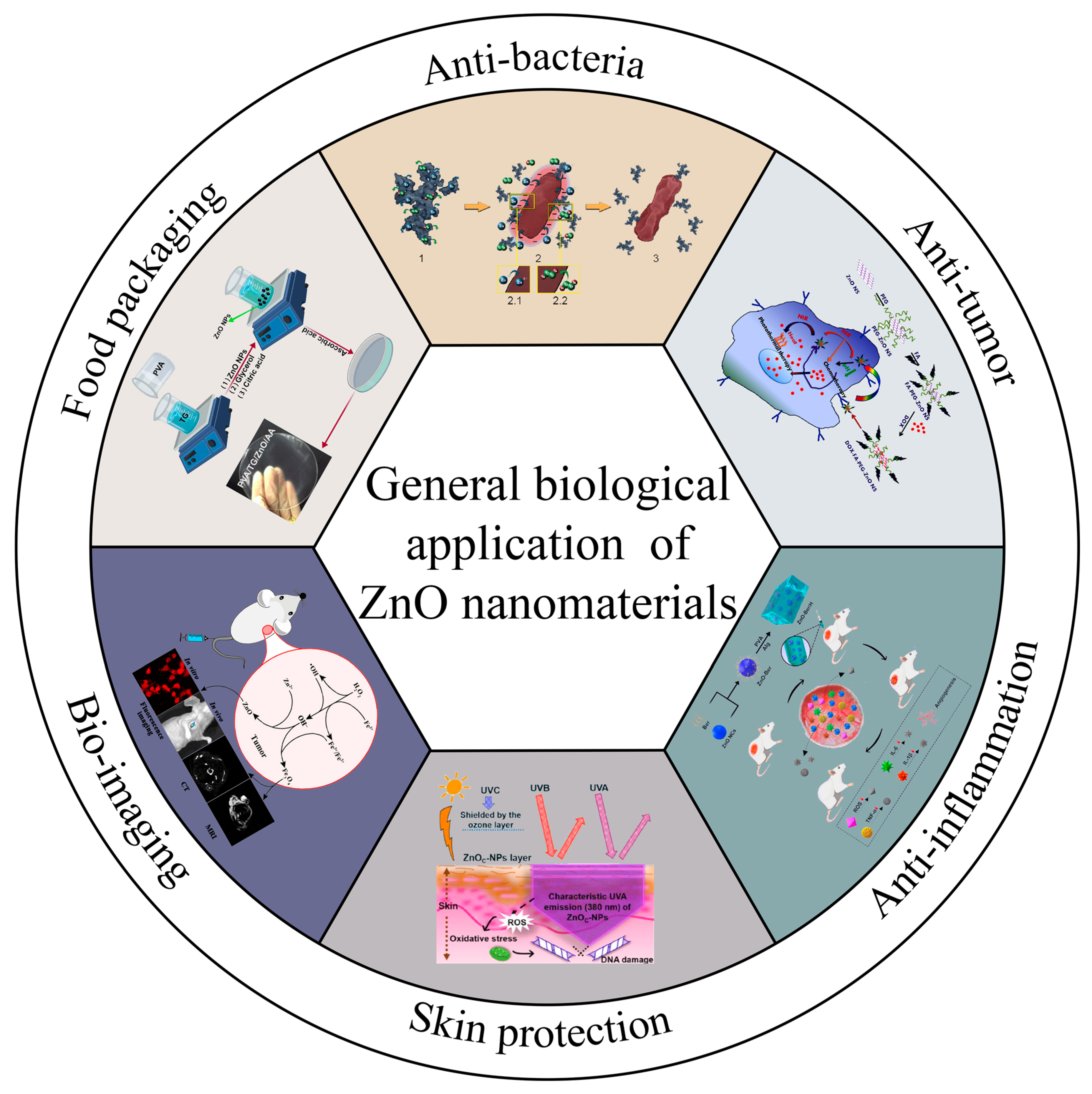 Nanomaterials 13 01500 g001