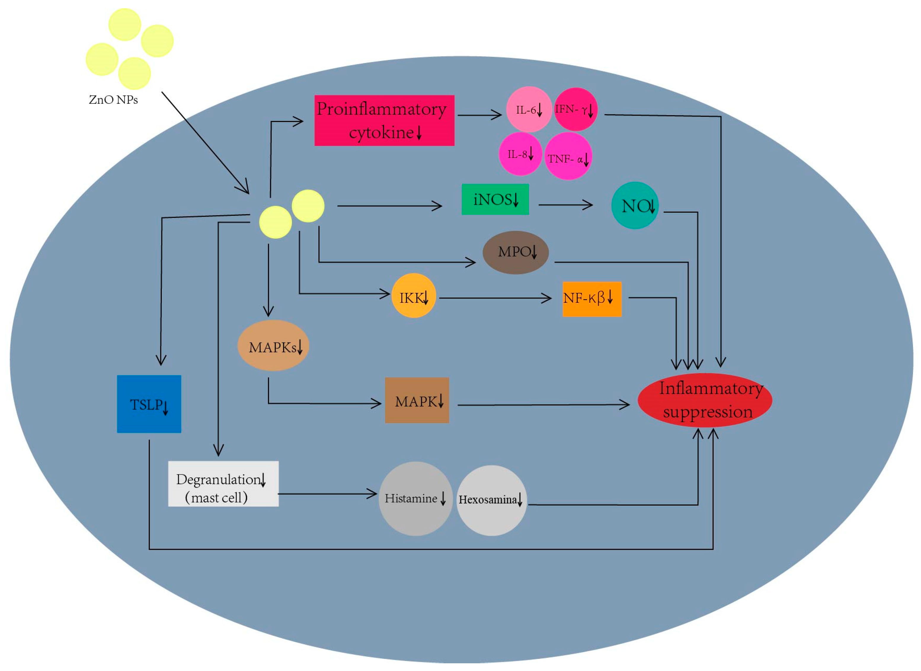 Nanomaterials 13 01500 g005