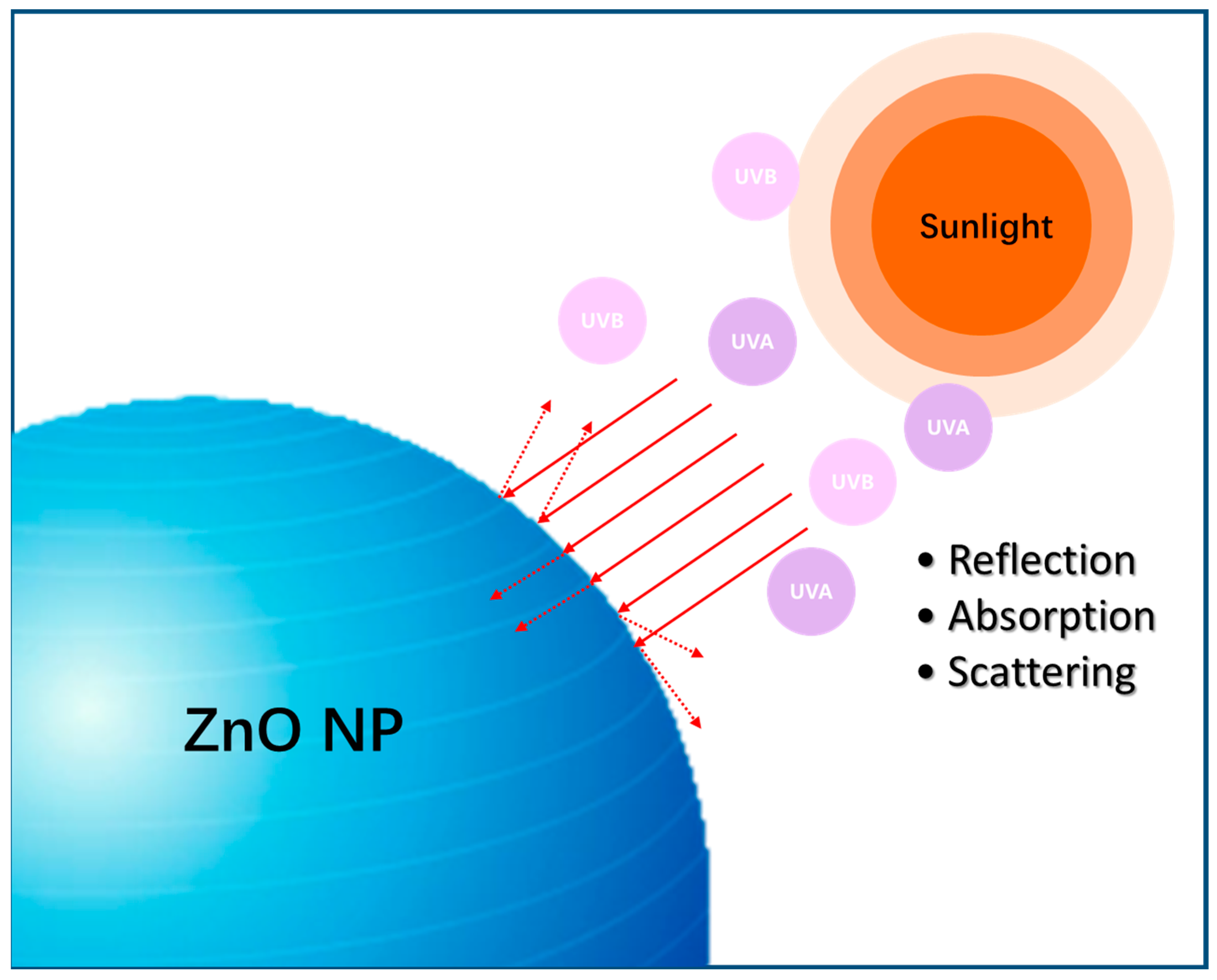 Nanomaterials 13 01500 g006