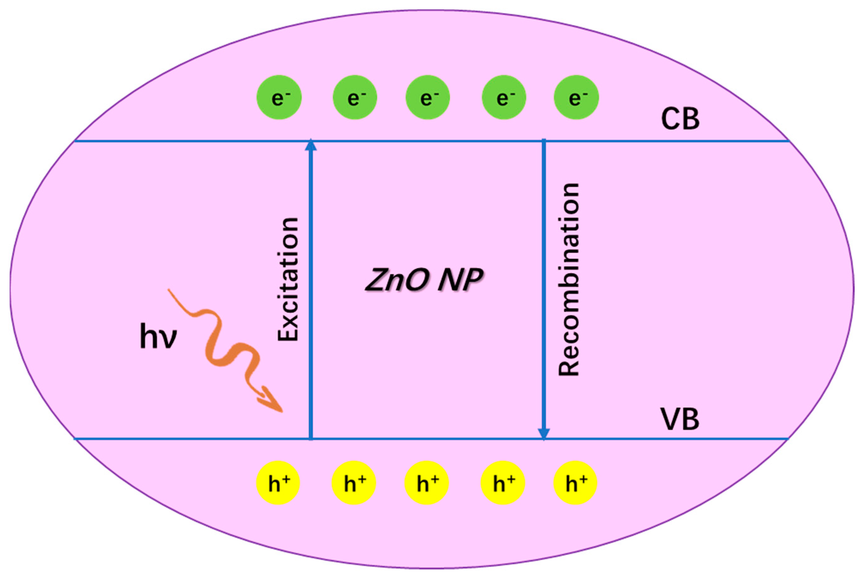 Nanomaterials 13 01500 g007