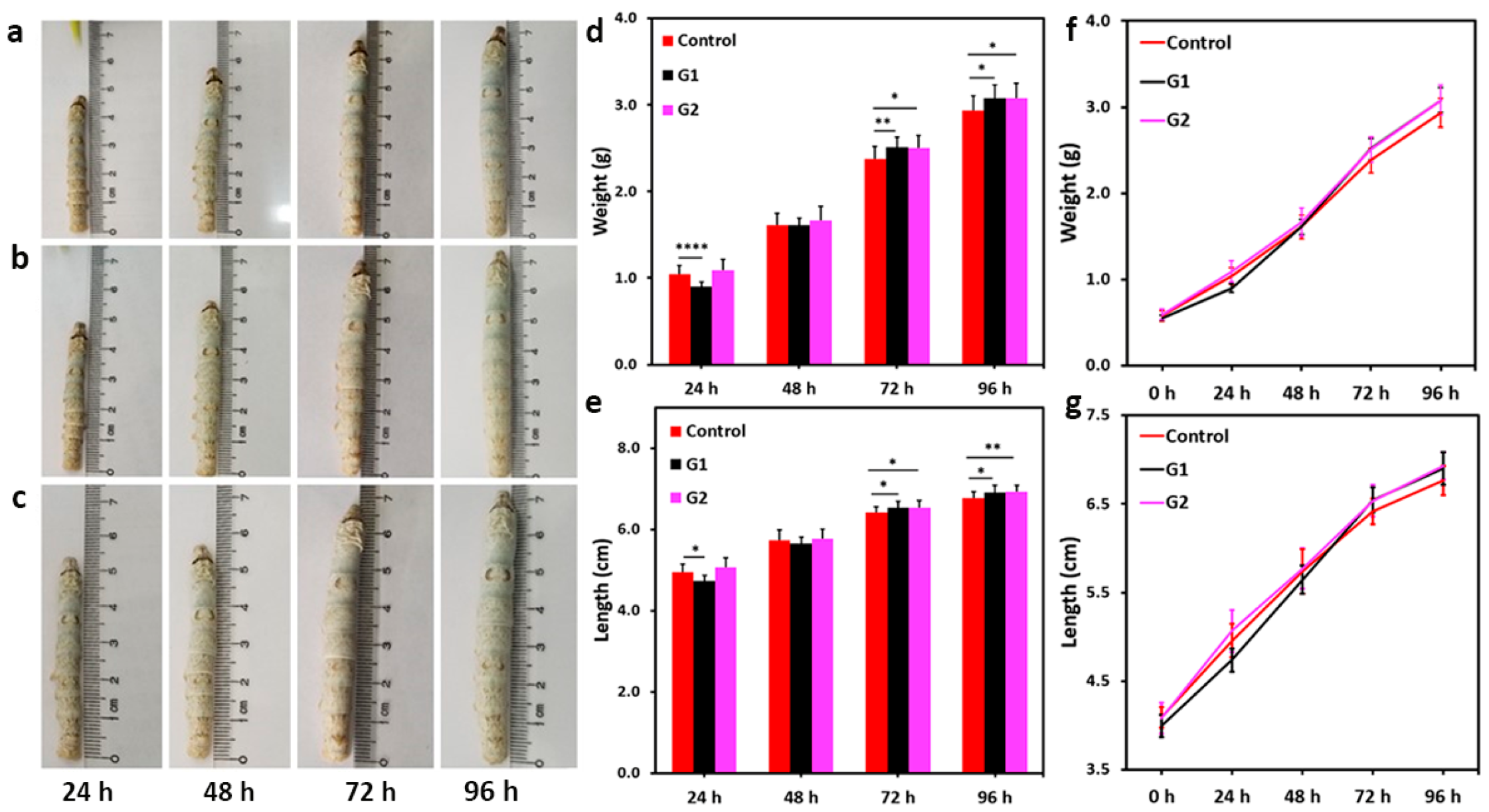 Nanomaterials 13 01502 g003