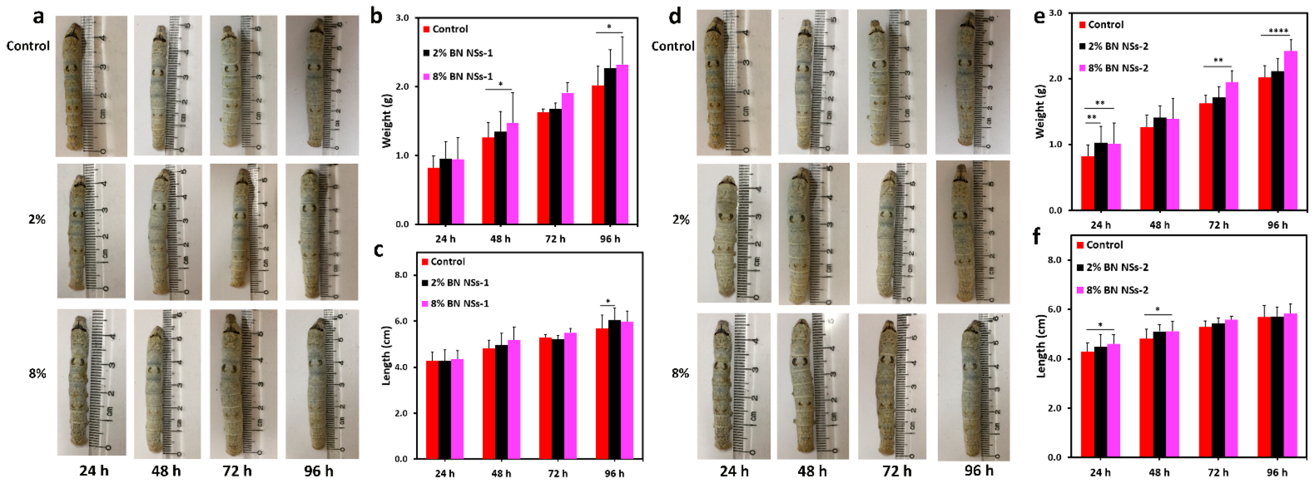 Nanomaterials 13 01502 g005