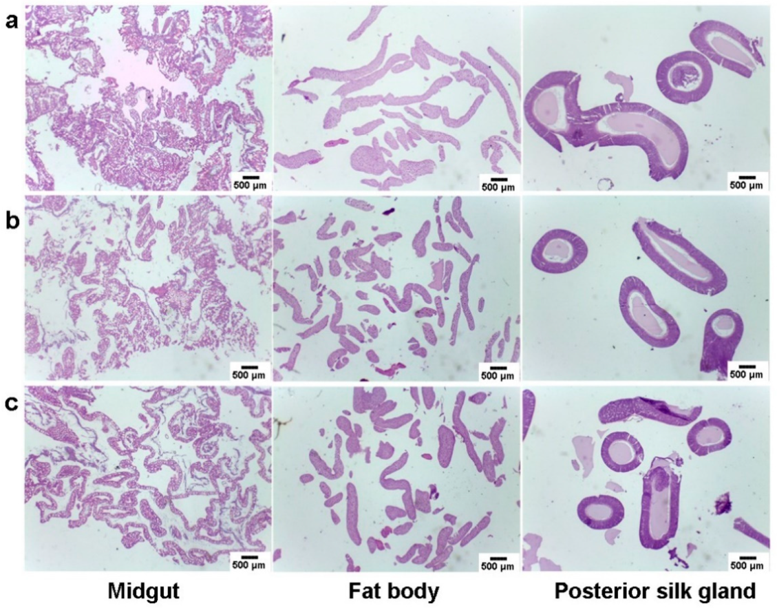 Nanomaterials 13 01502 g007