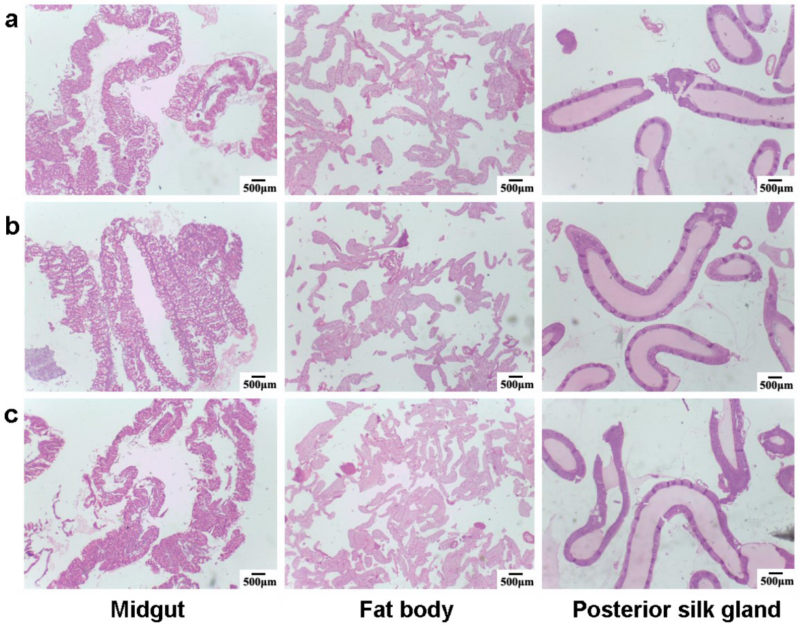 Nanomaterials 13 01502 g008