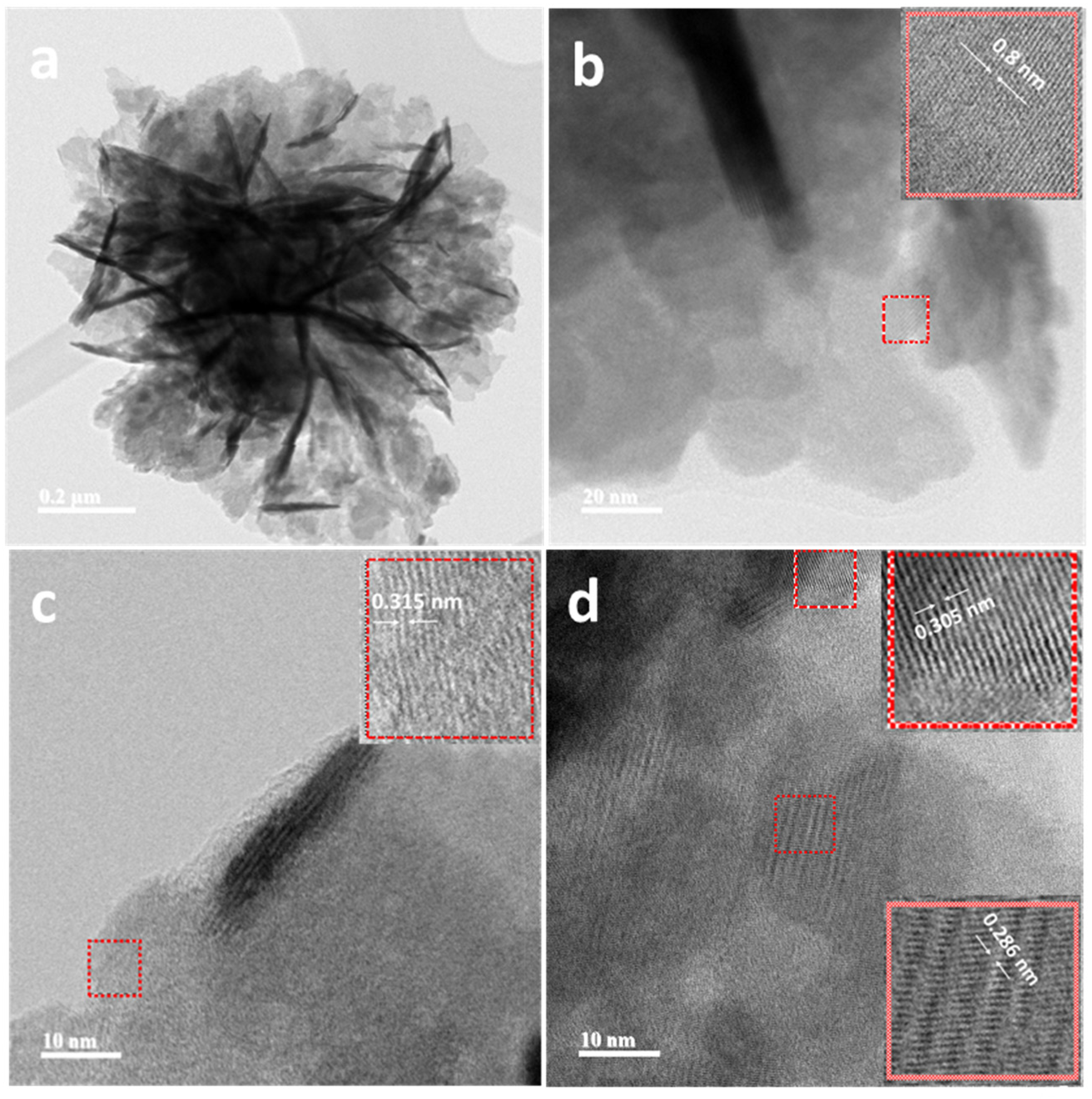 Nanomaterials 13 01503 g004