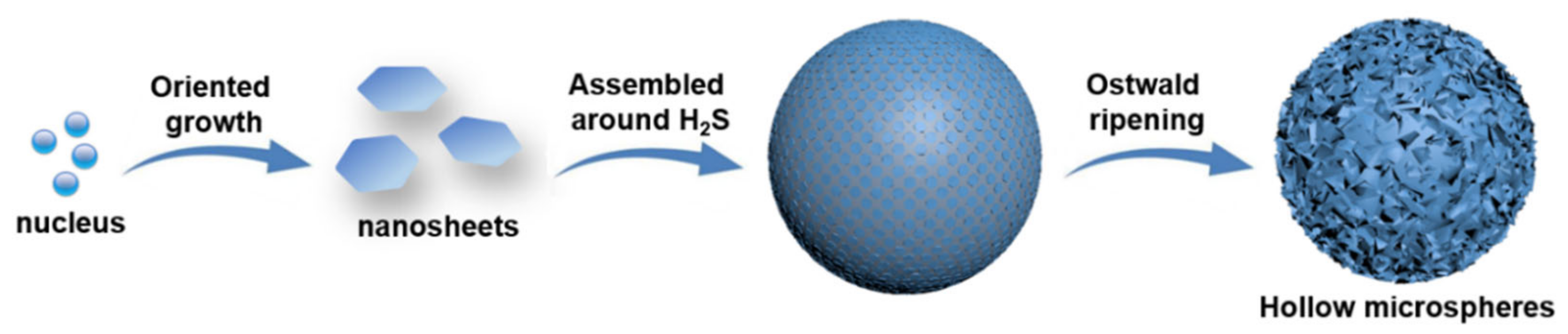 Nanomaterials 13 01505 g003