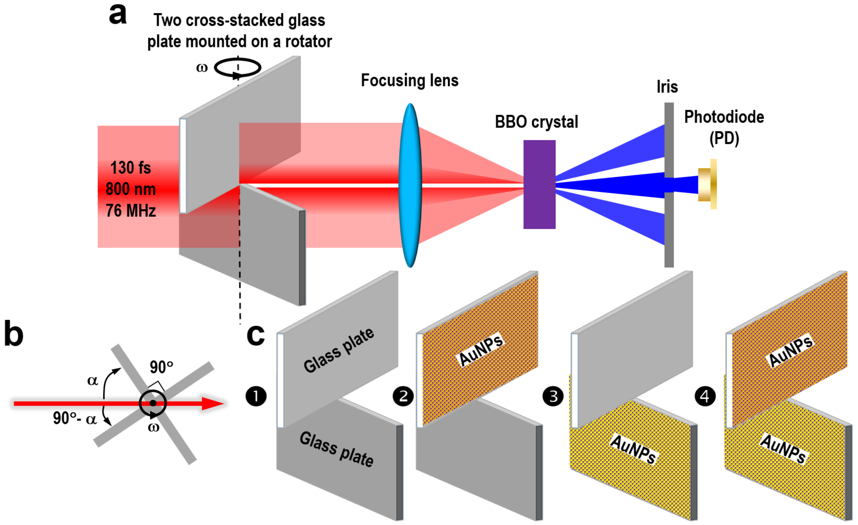 Nanomaterials 13 01513 g001