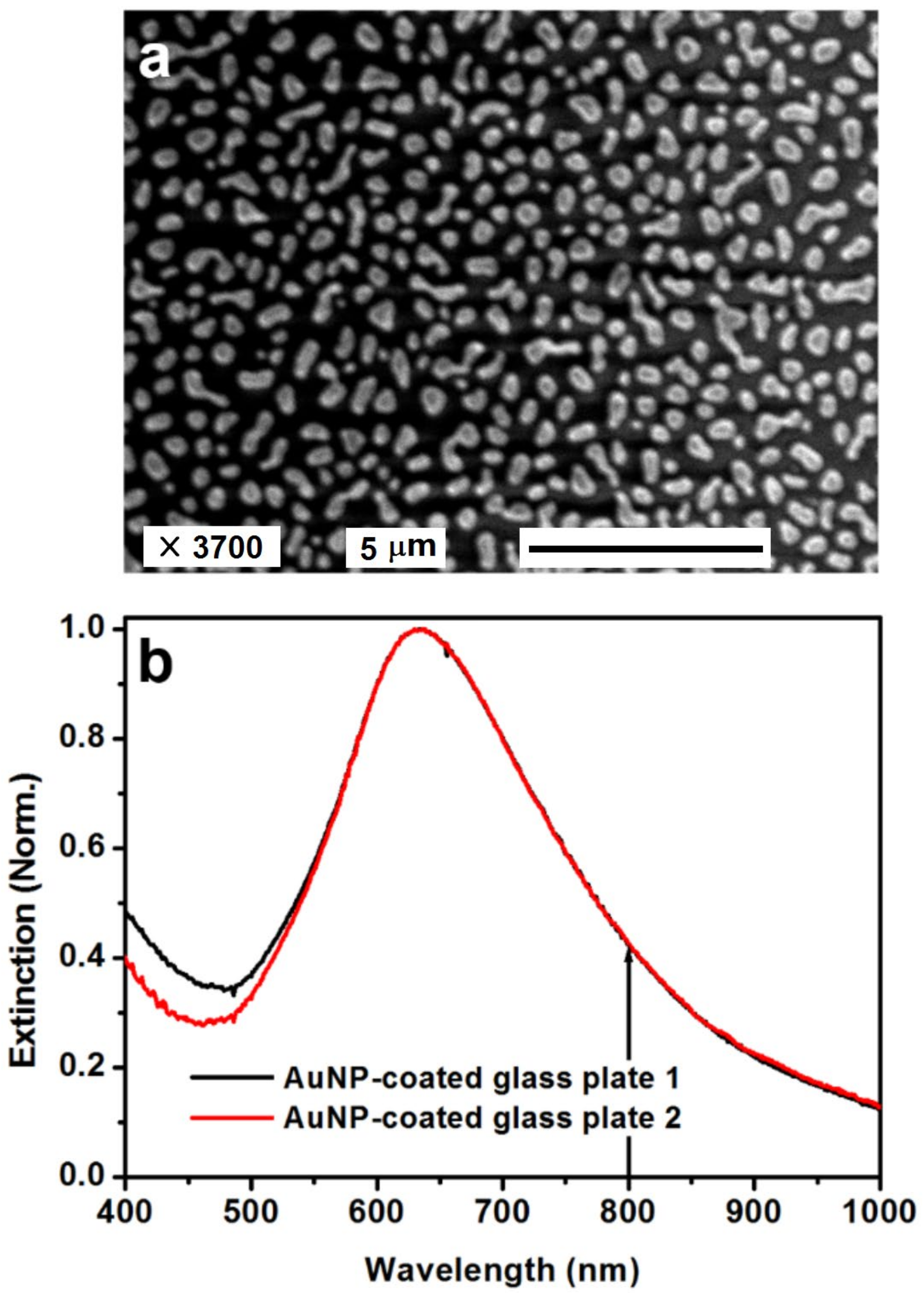 Nanomaterials 13 01513 g003
