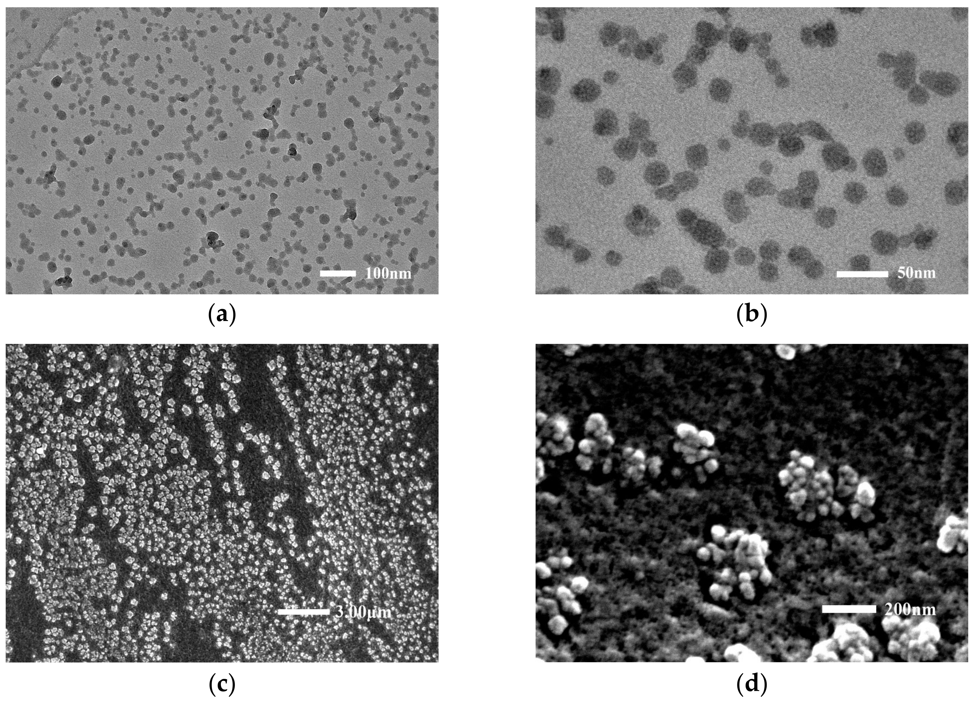Nanomaterials 13 01515 g001