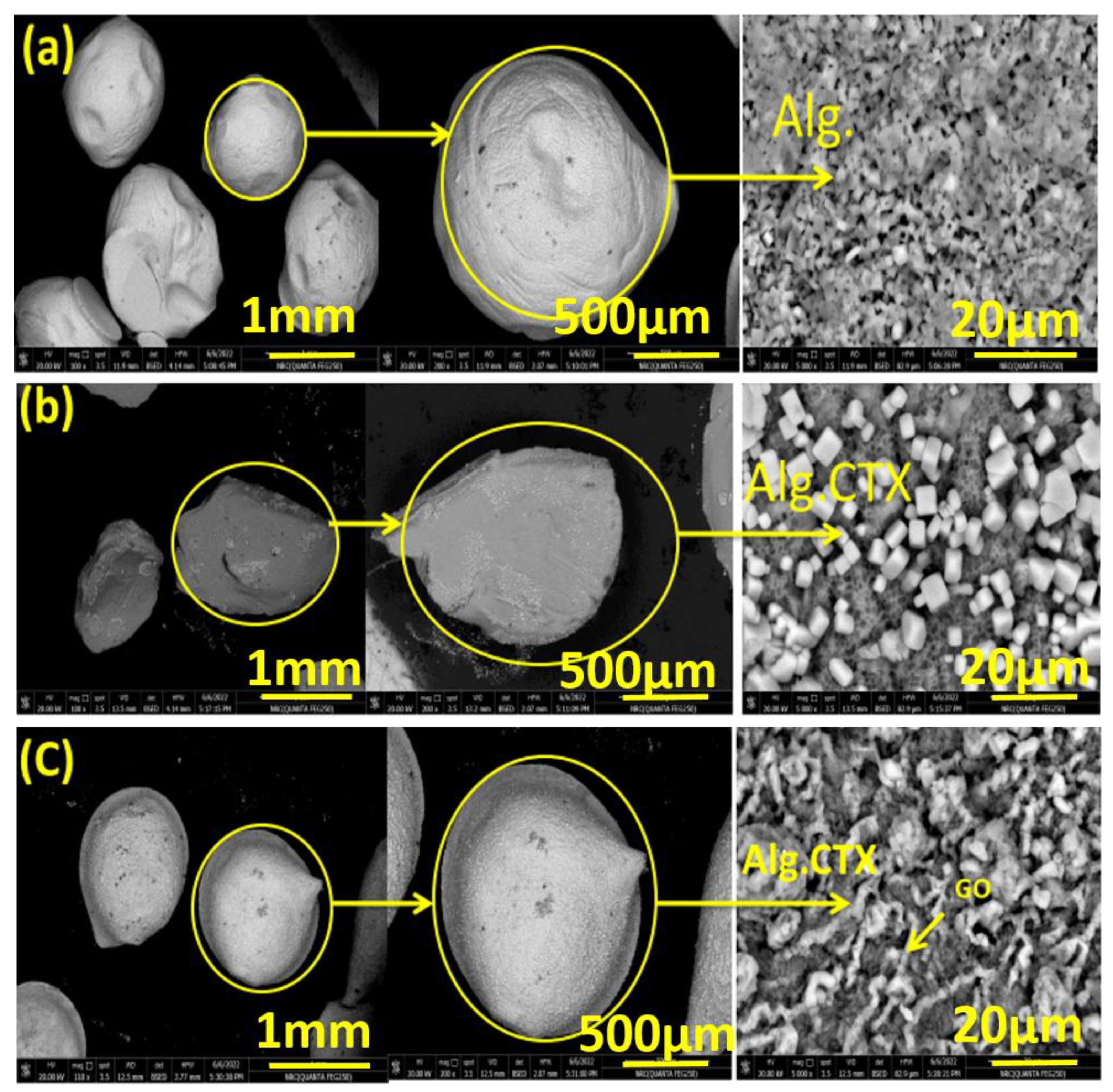 Nanomaterials 13 01527 g001