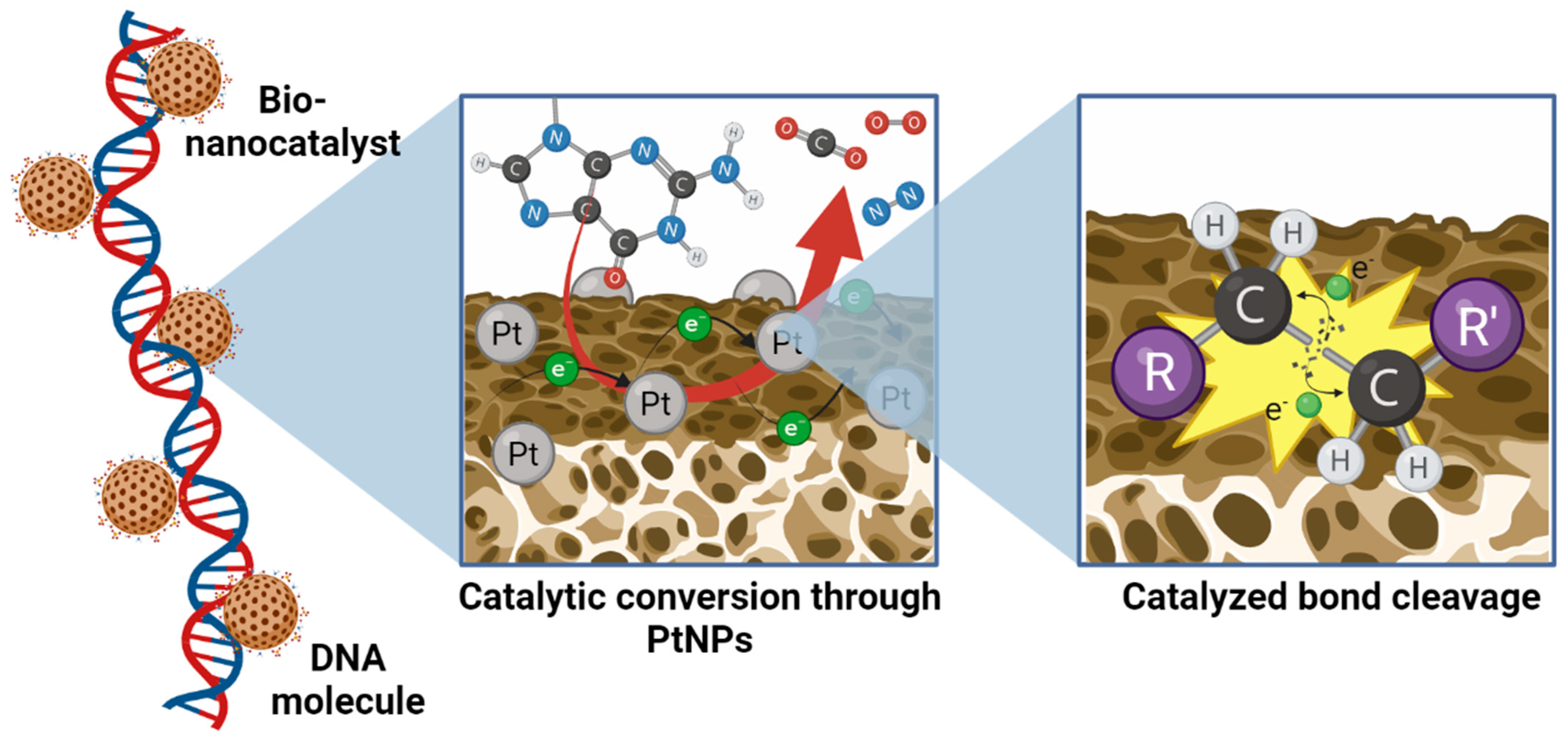Nanomaterials 13 01541 g005 Nanomaterials 13 01541 g005