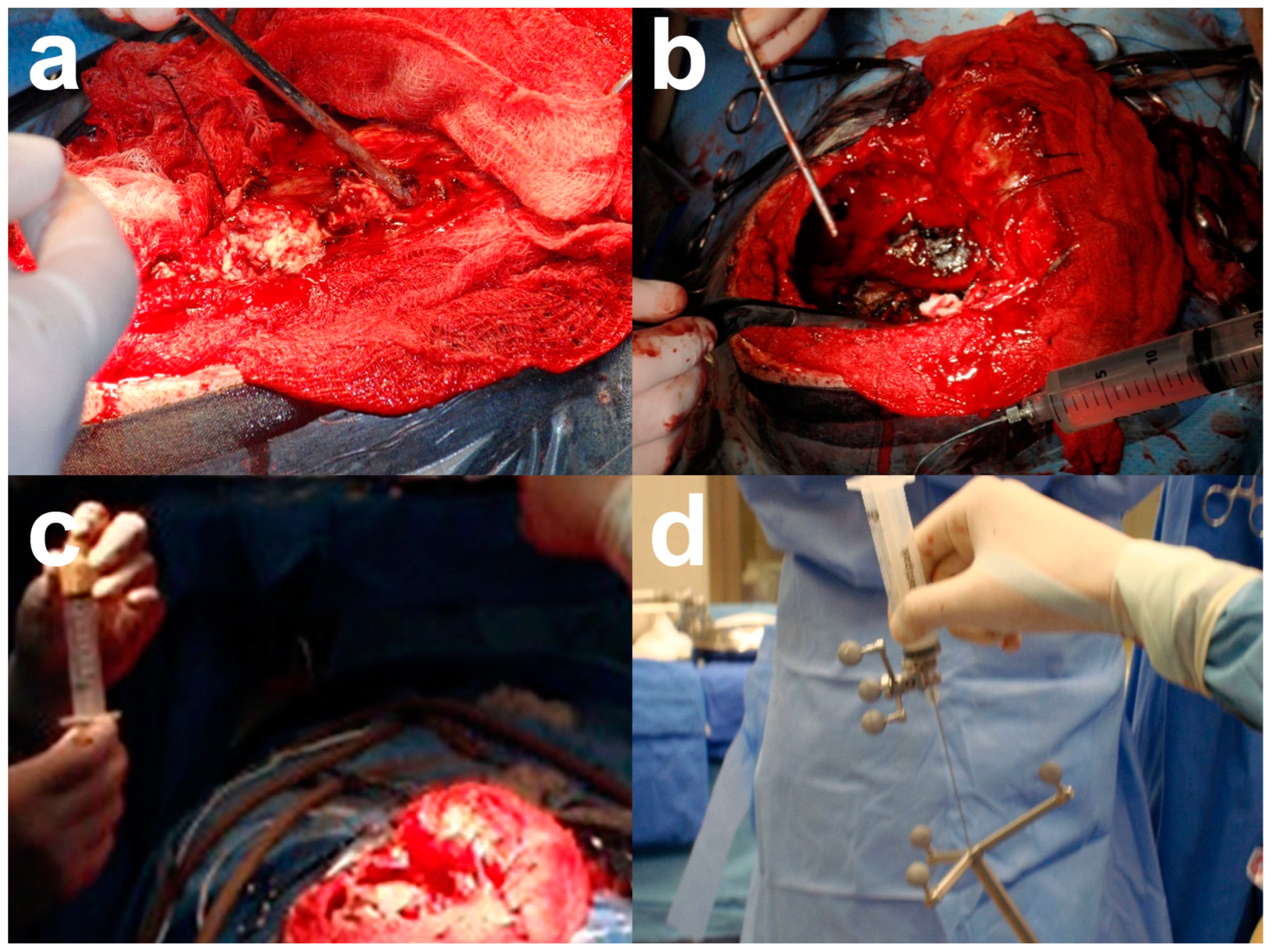 Nanomaterials 13 01541 g007 Nanomaterials 13 01541 g007