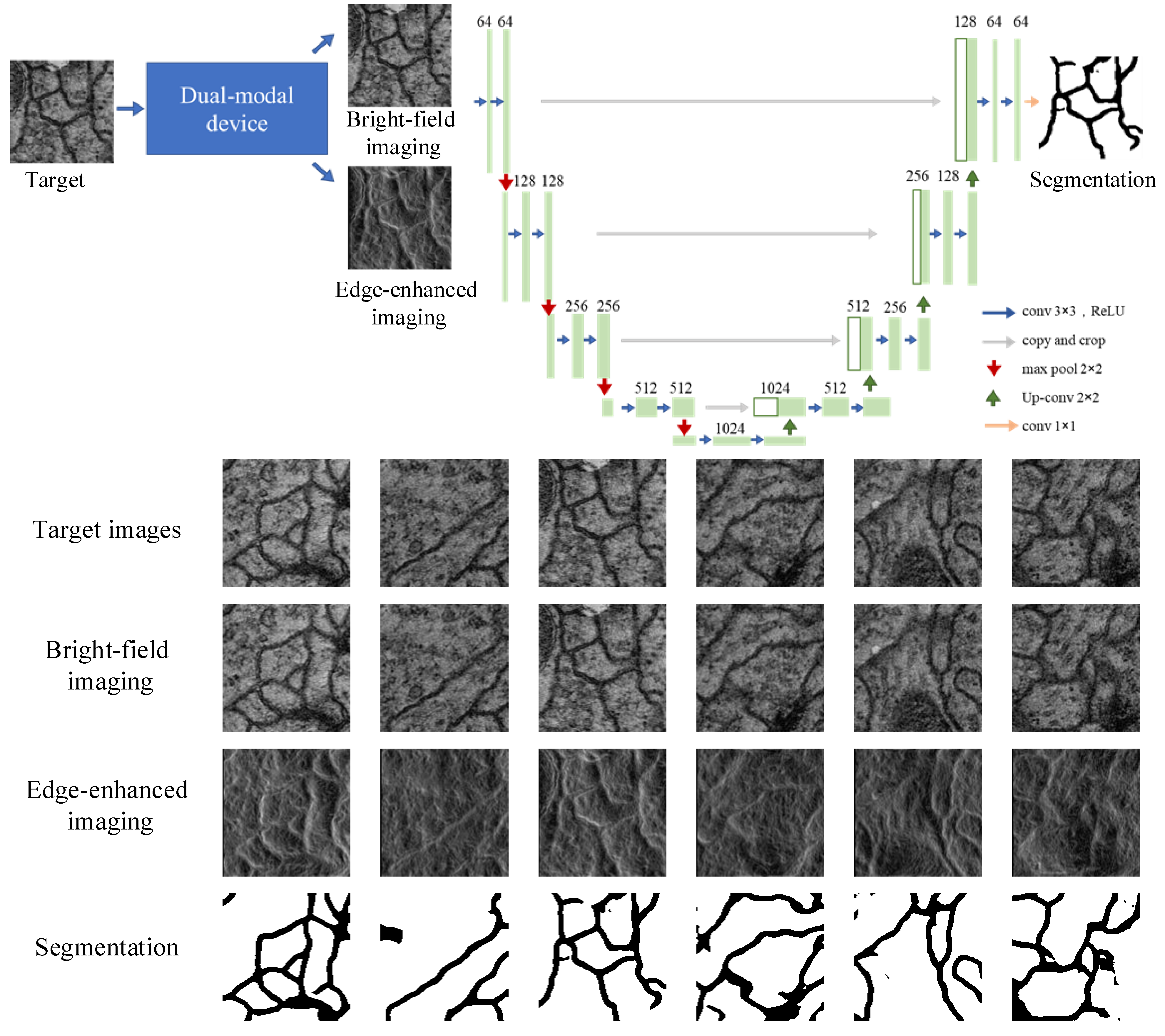 Nanomaterials 13 01542 g010 Nanomaterials 13 01542 g010