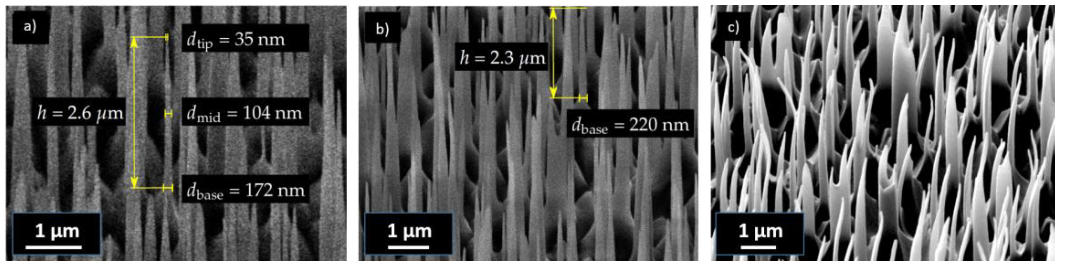 Nanomaterials 13 01556 g002