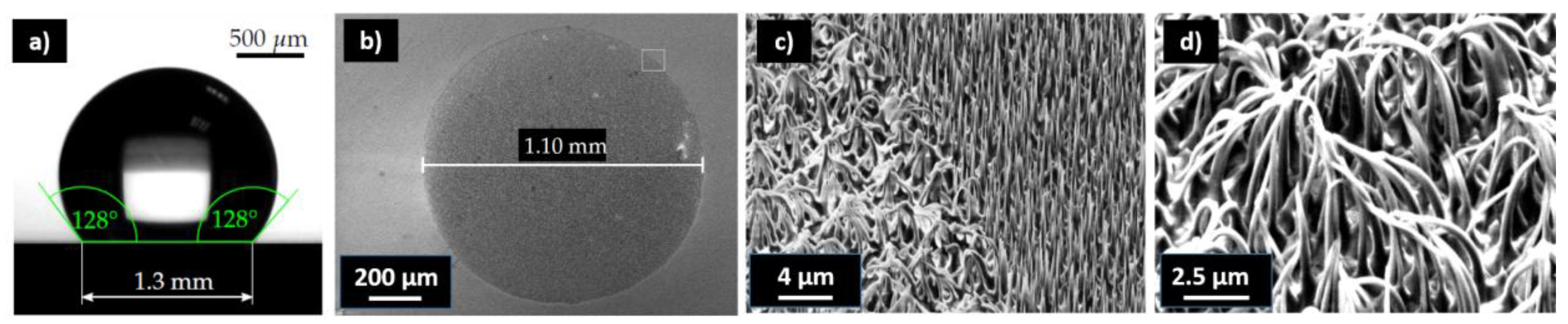 Nanomaterials 13 01556 g005