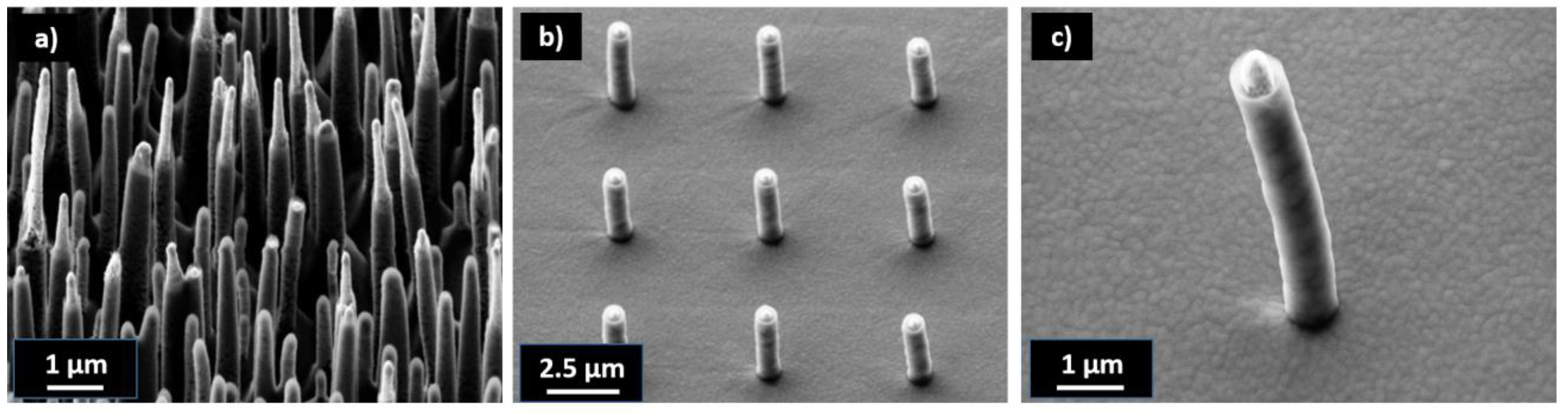 Nanomaterials 13 01556 g009