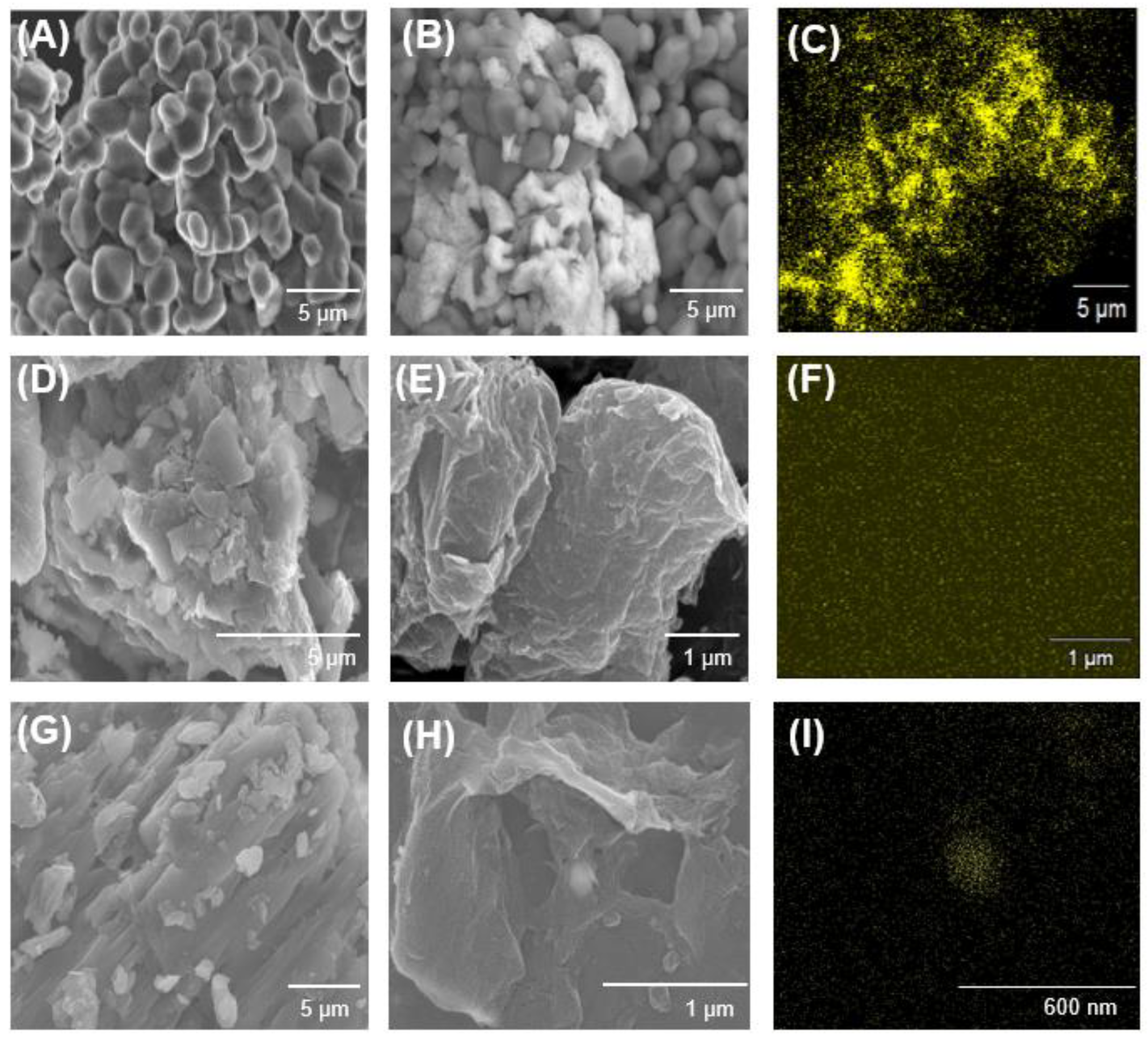 Nanomaterials 13 01564 g001