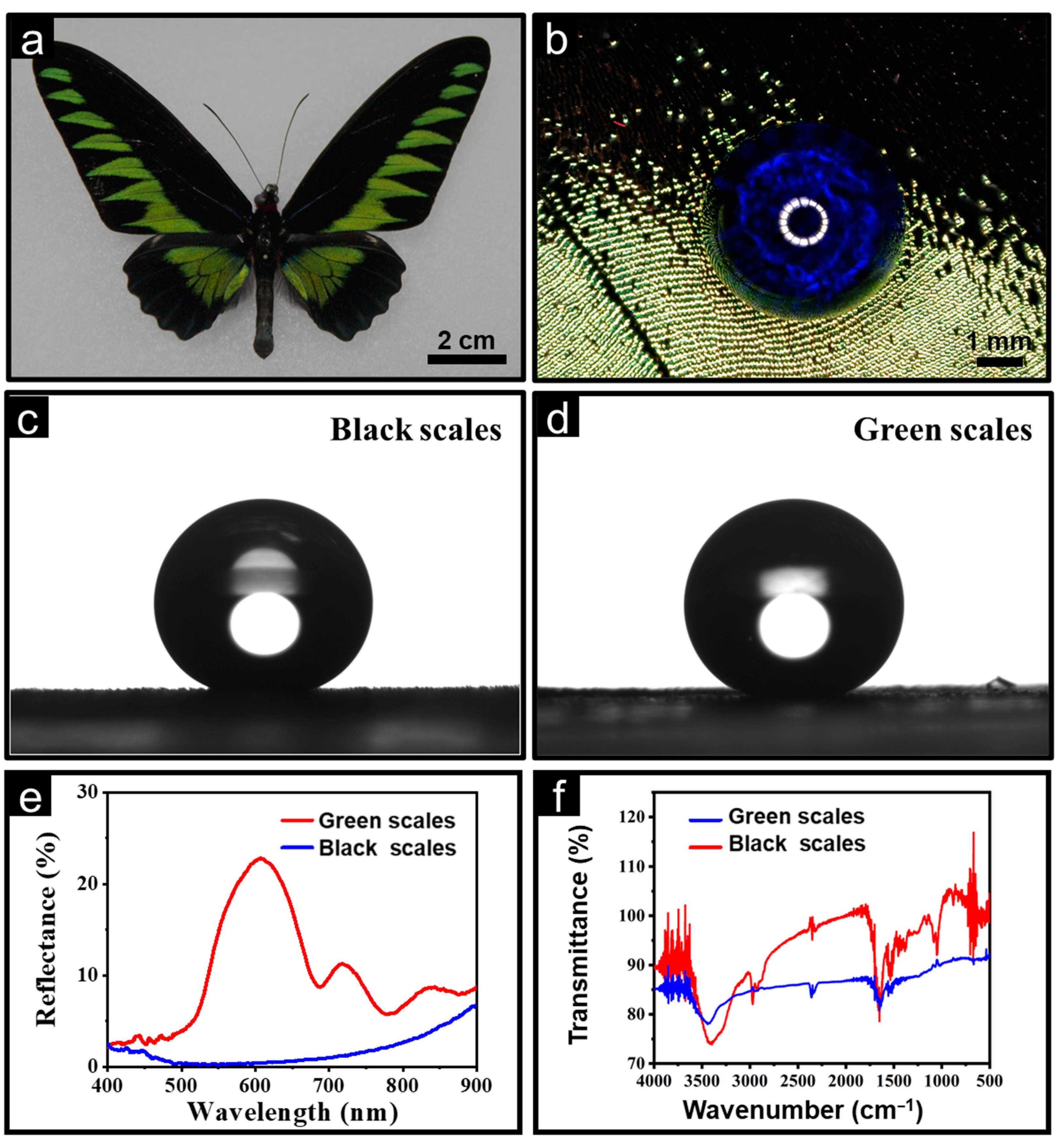 Nanomaterials 13 01570 g001 Nanomaterials 13 01570 g001