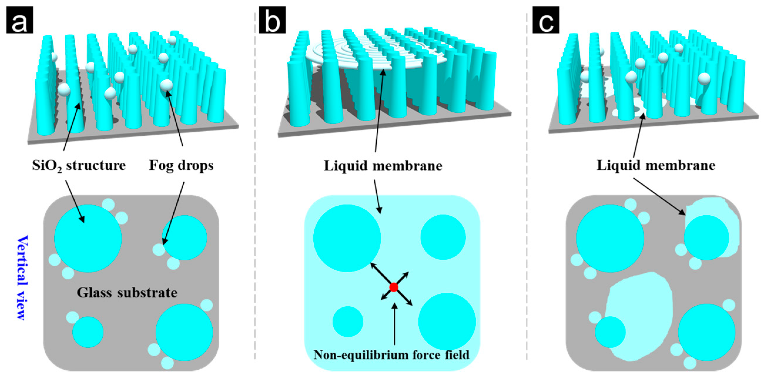 Nanomaterials 13 01570 g007 Nanomaterials 13 01570 g007
