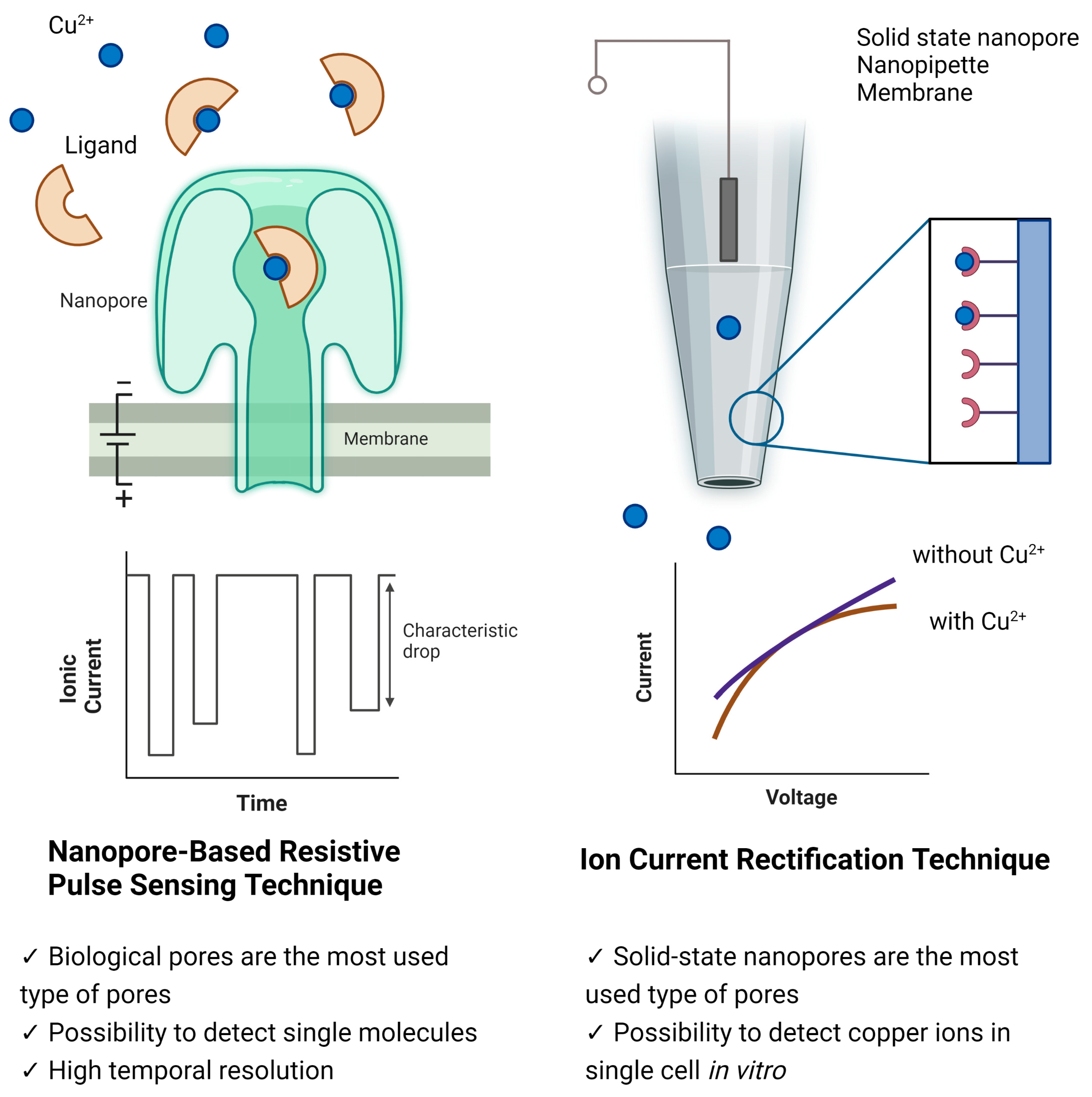 Nanomaterials 13 01573 g001