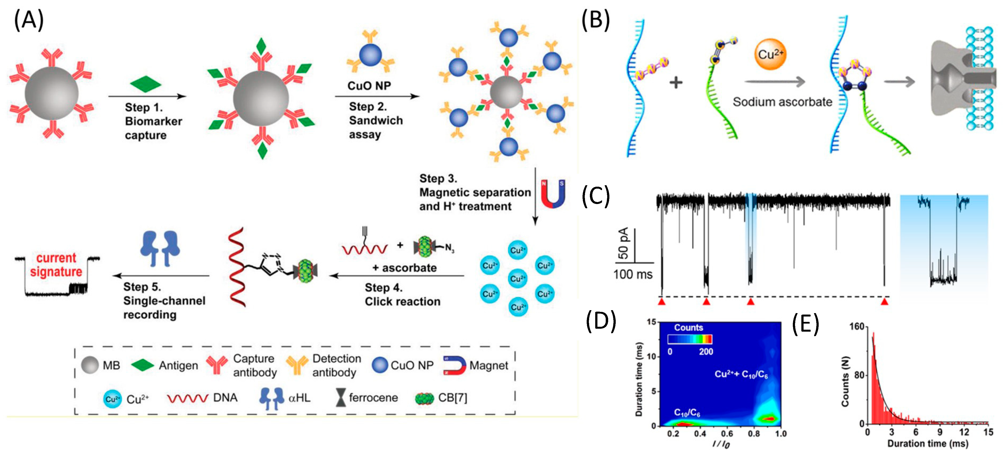 Nanomaterials 13 01573 g003
