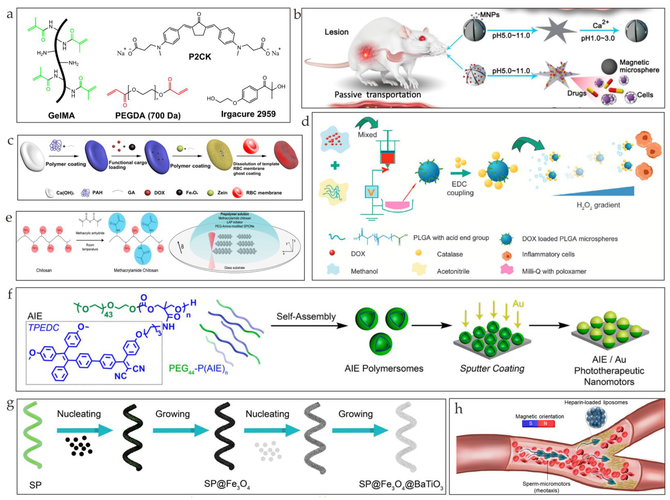 Nanomaterials 13 01590 g003 Nanomaterials 13 01590 g003