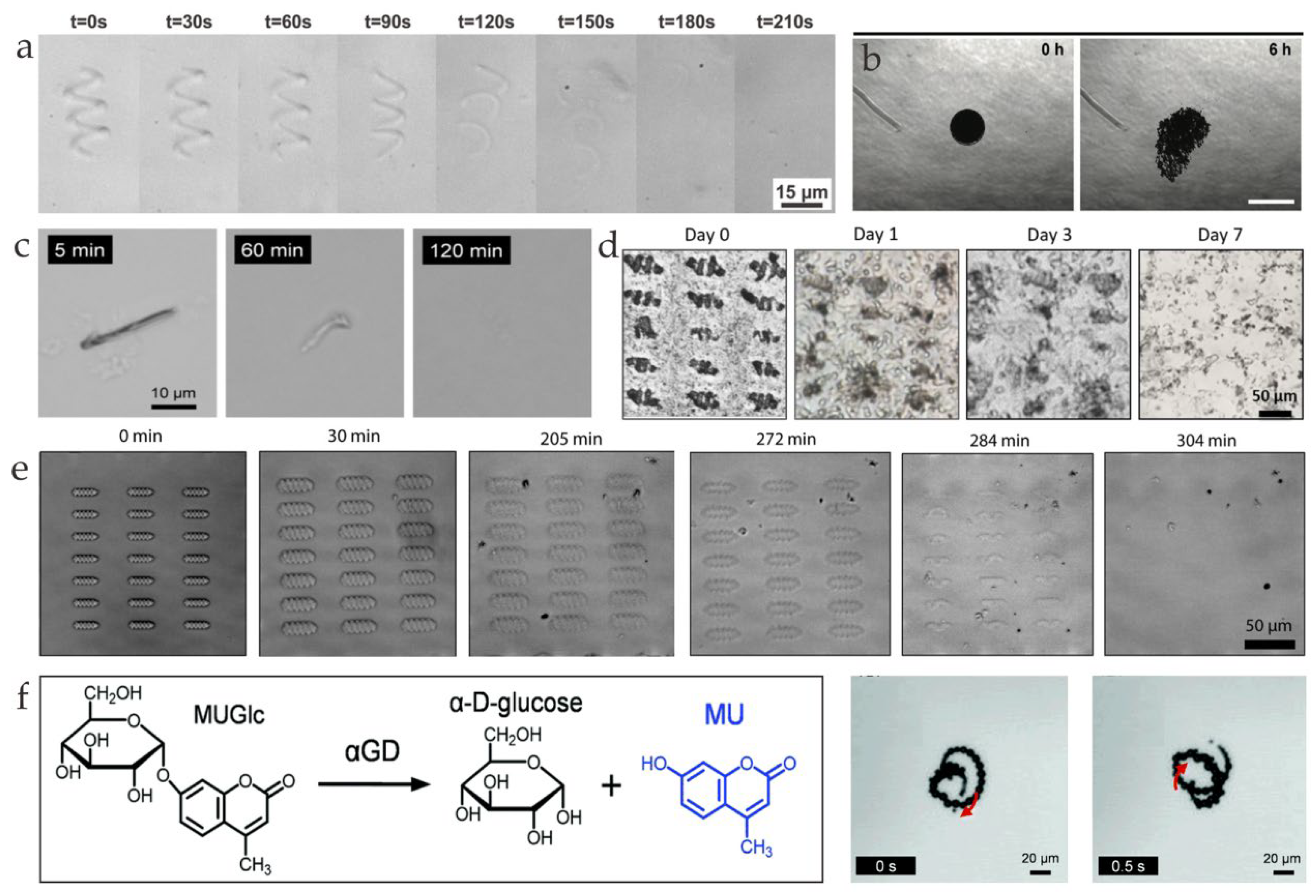 Nanomaterials 13 01590 g005 Nanomaterials 13 01590 g005
