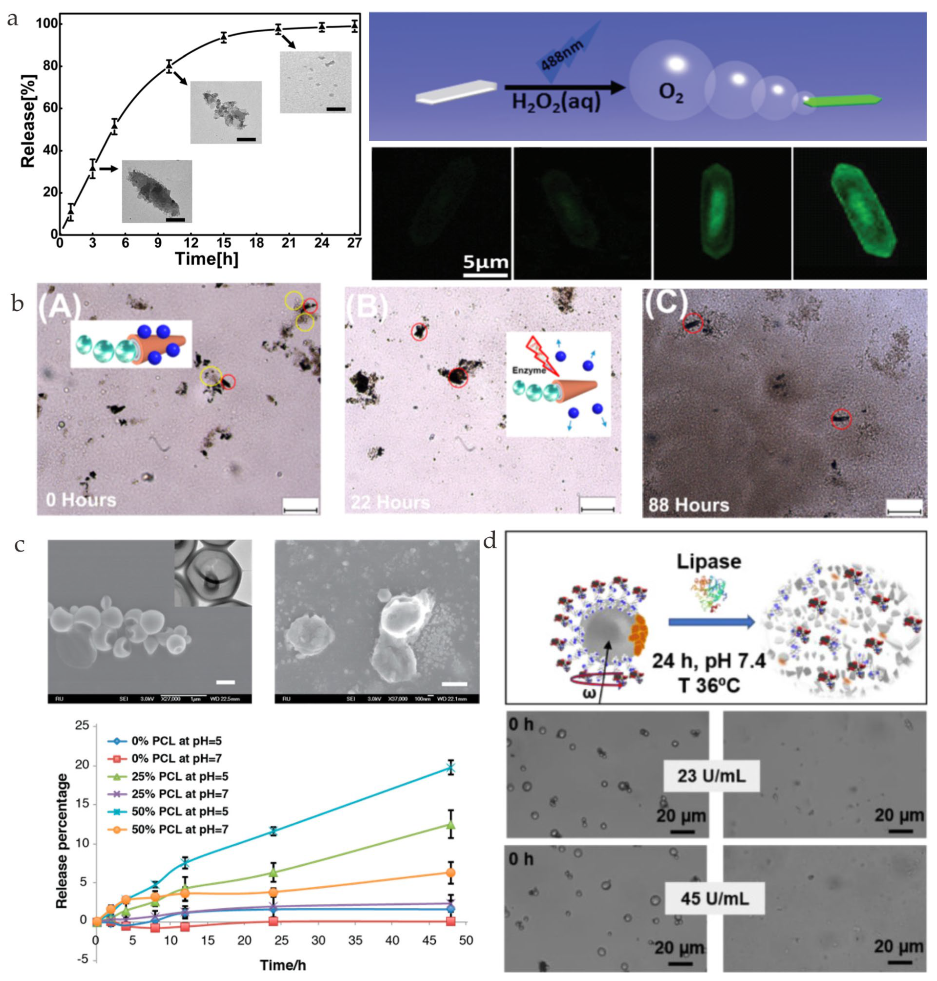 Nanomaterials 13 01590 g006 Nanomaterials 13 01590 g006