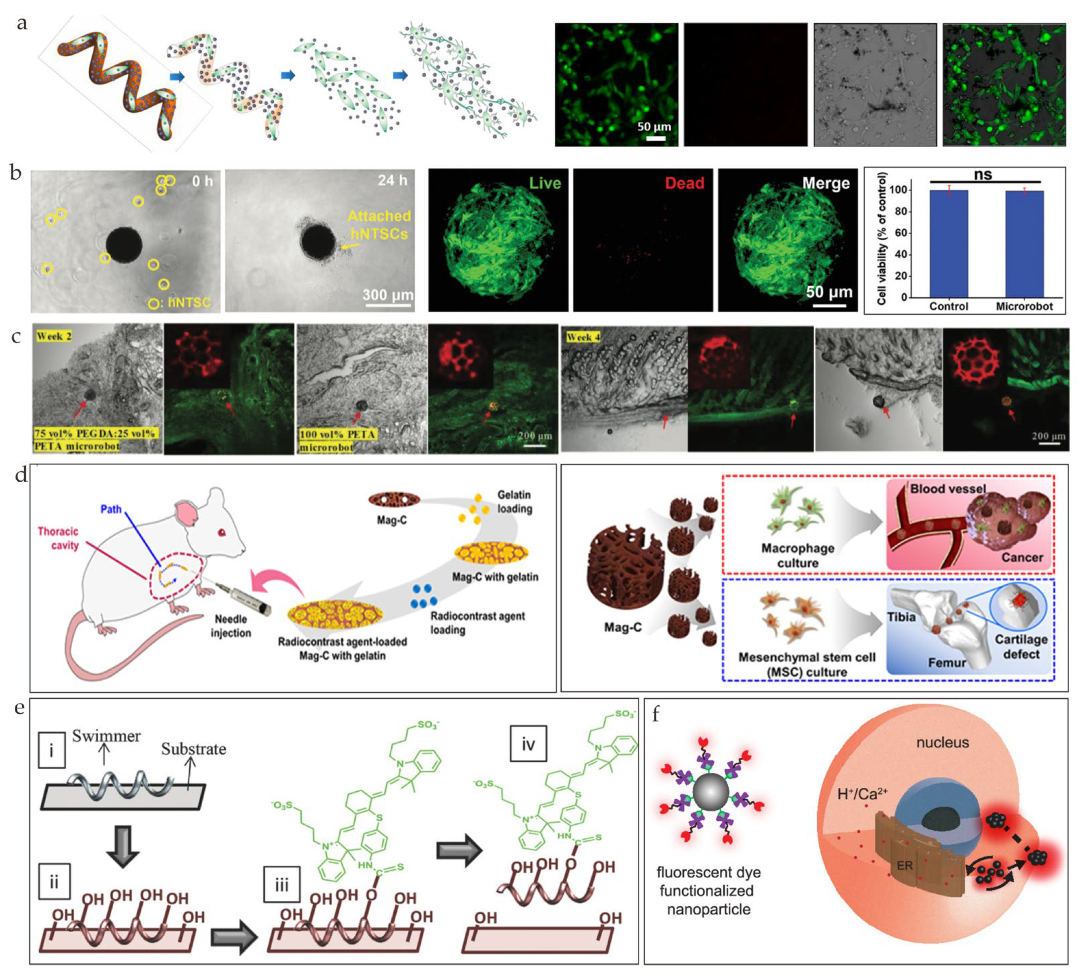 Nanomaterials 13 01590 g008 Nanomaterials 13 01590 g008