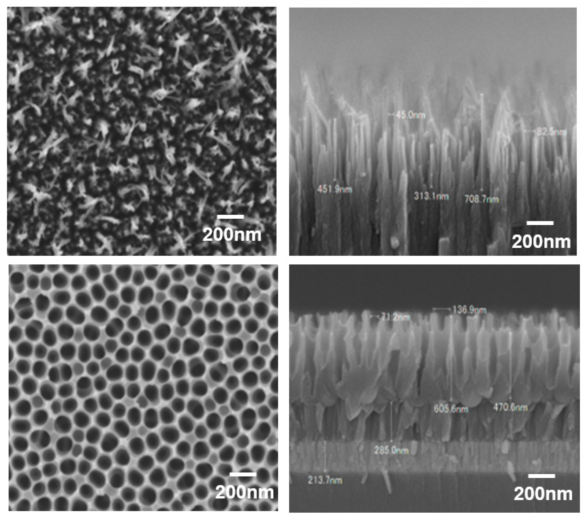 Nanomaterials 13 01591 g002
