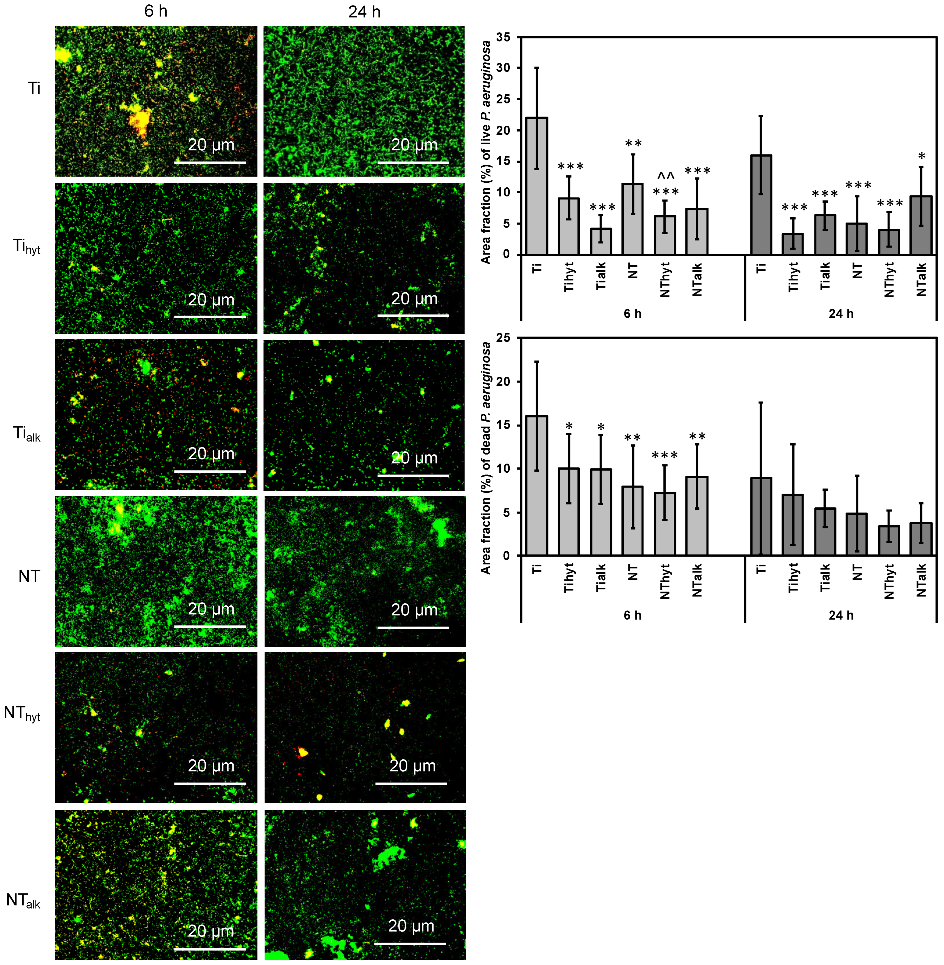 Nanomaterials 13 01606 g007