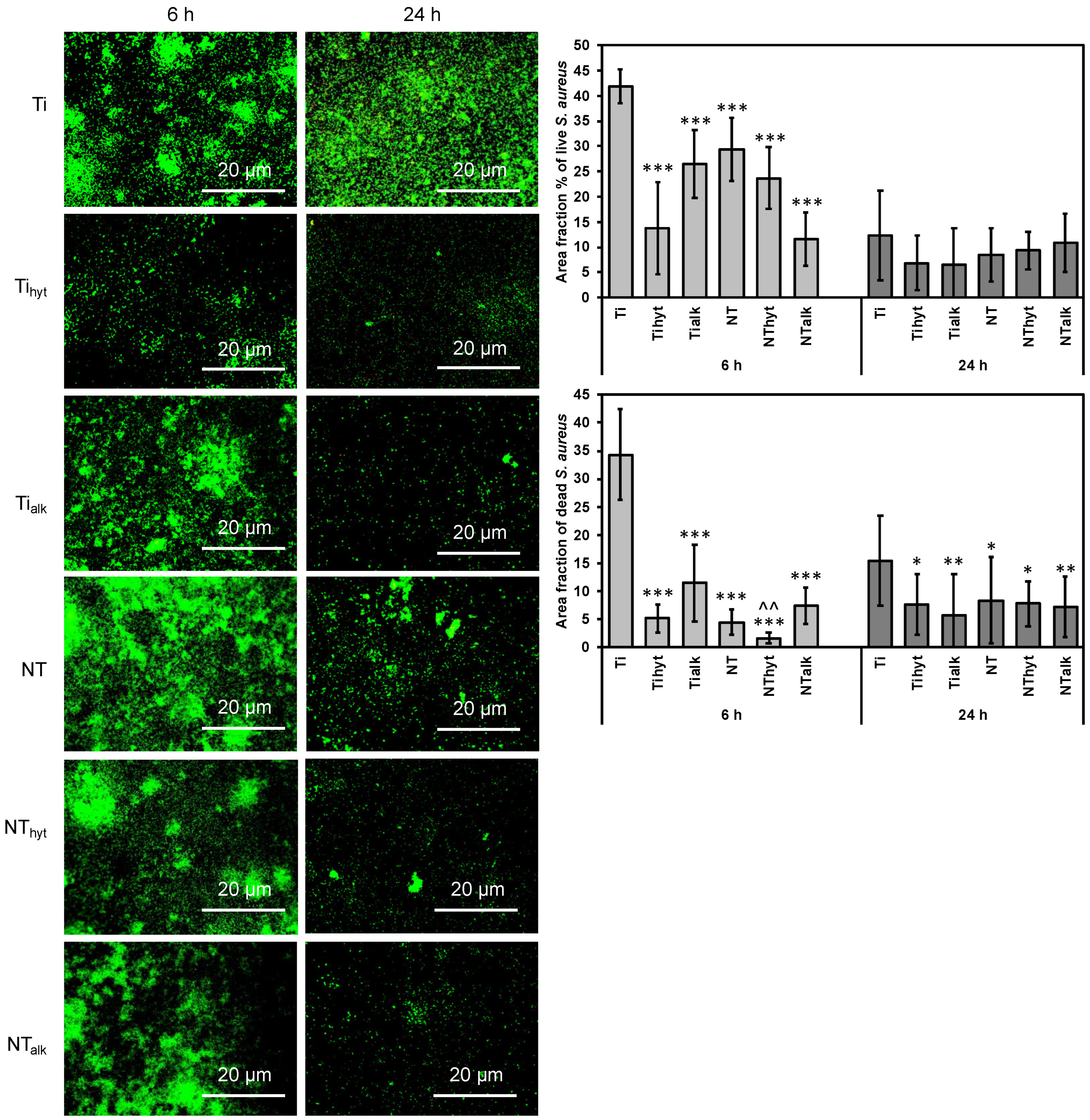 Nanomaterials 13 01606 g008