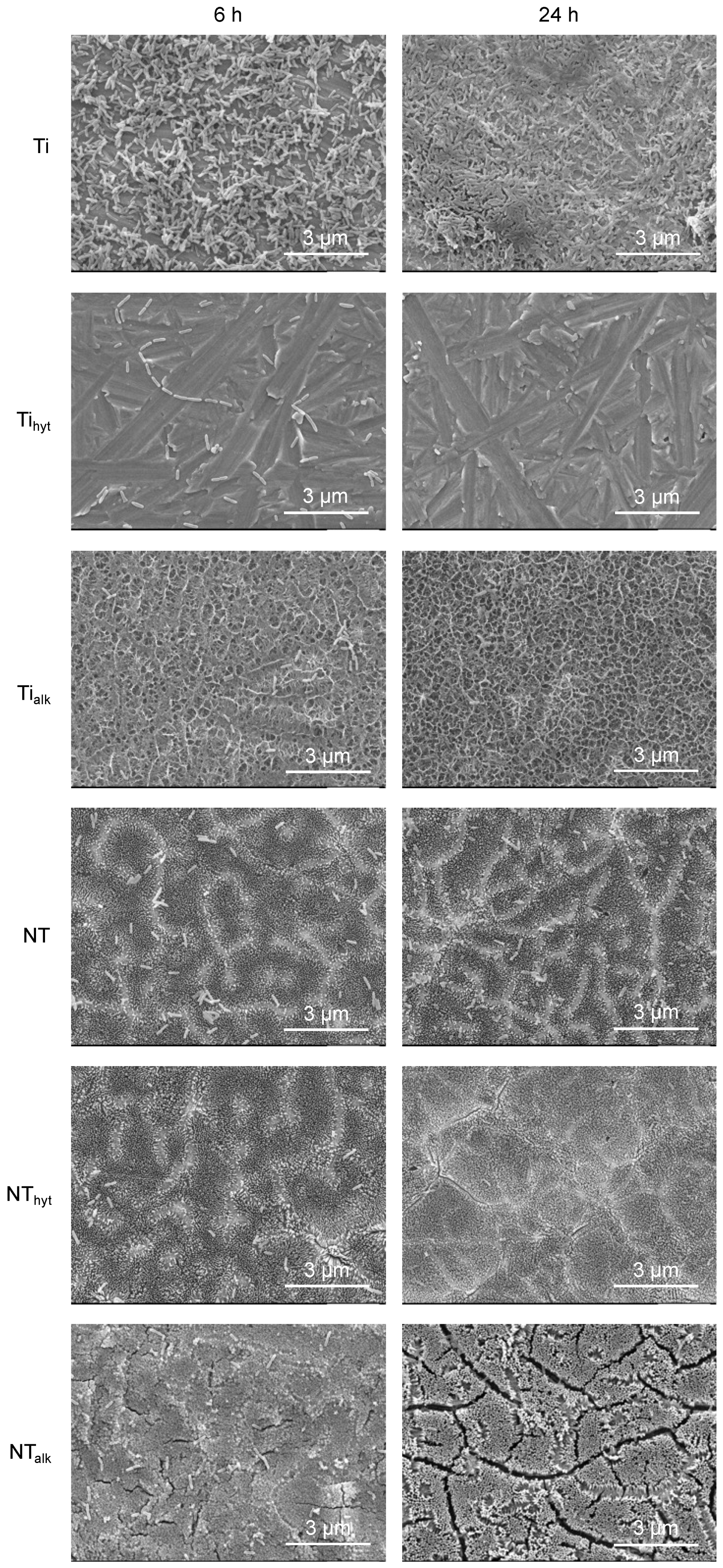 Nanomaterials 13 01606 g009