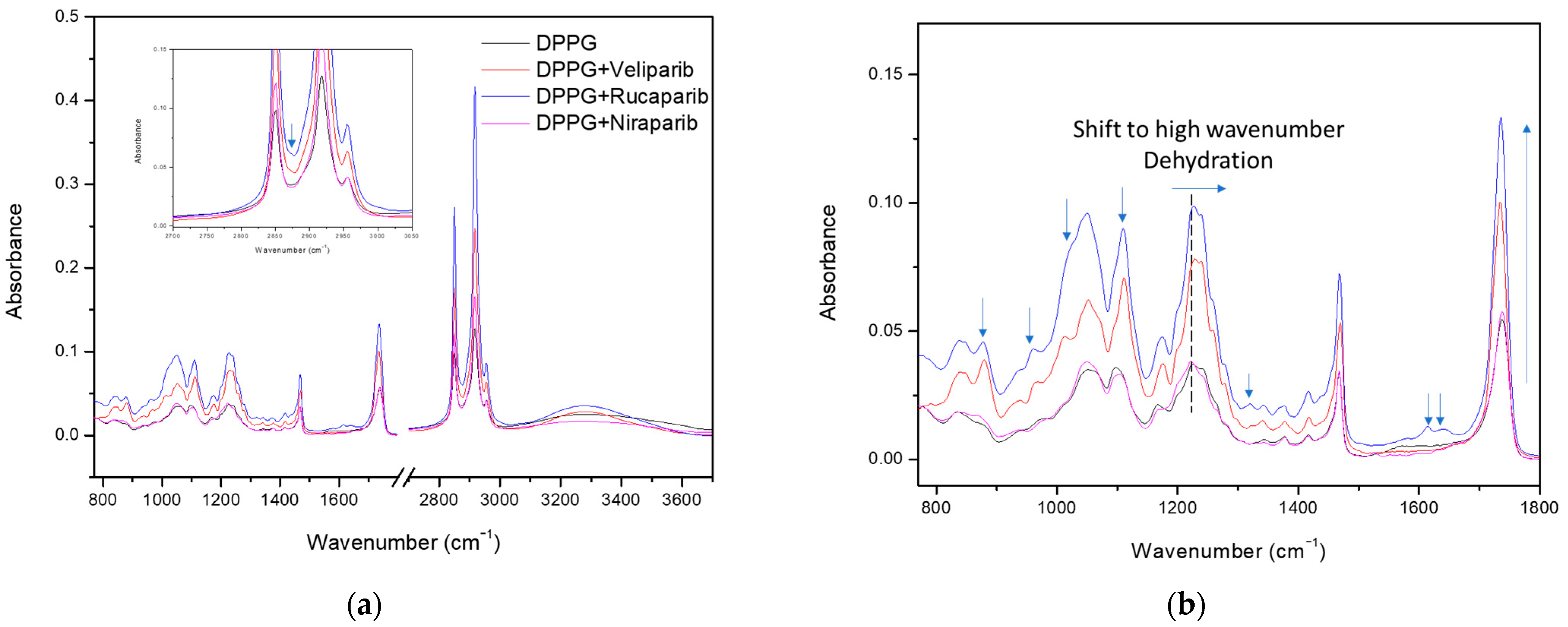 Nanomaterials 13 01613 g005