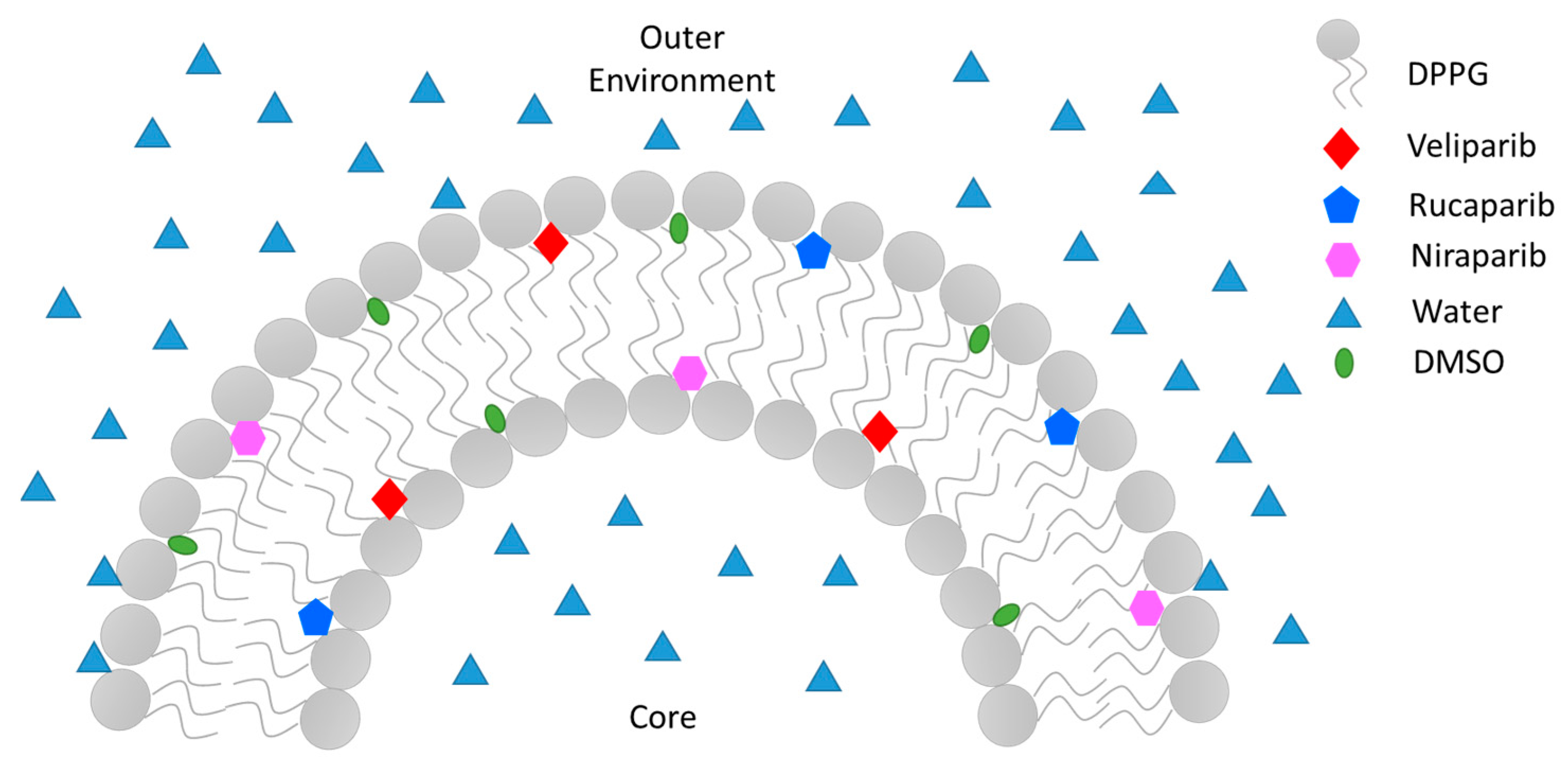 Nanomaterials 13 01613 g006