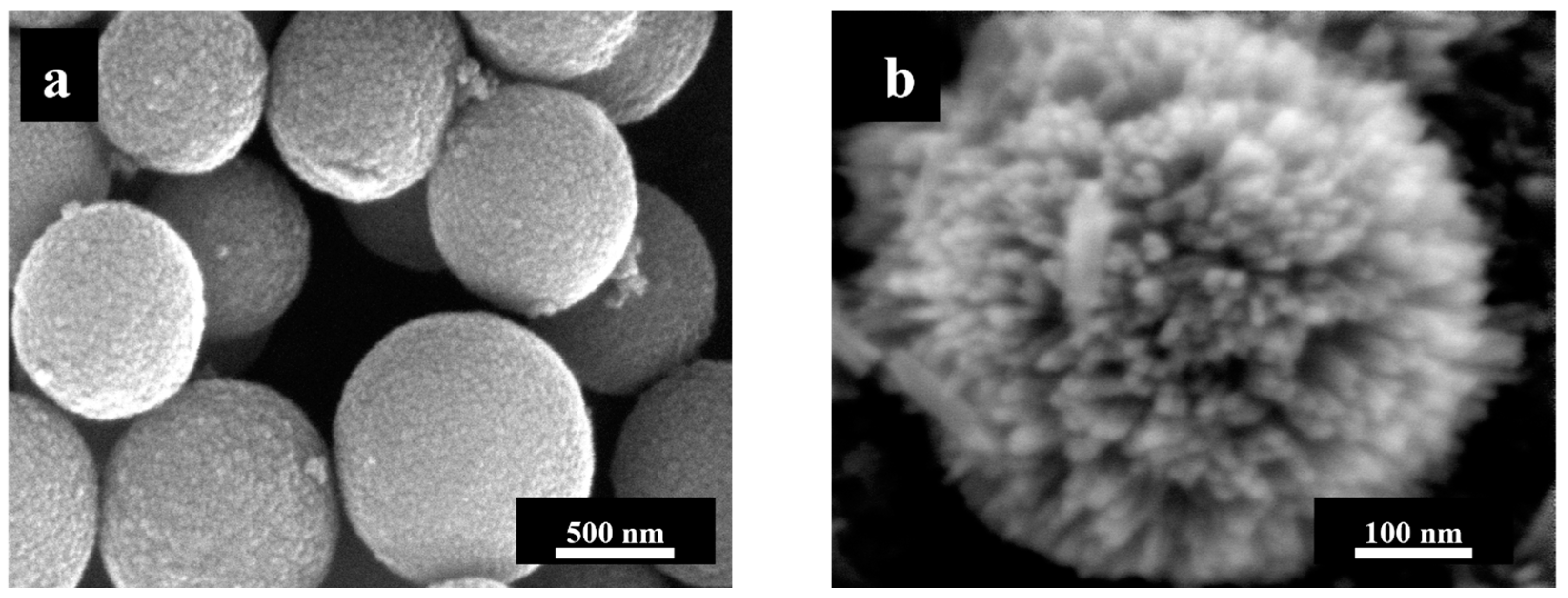 Nanomaterials 13 01621 g002