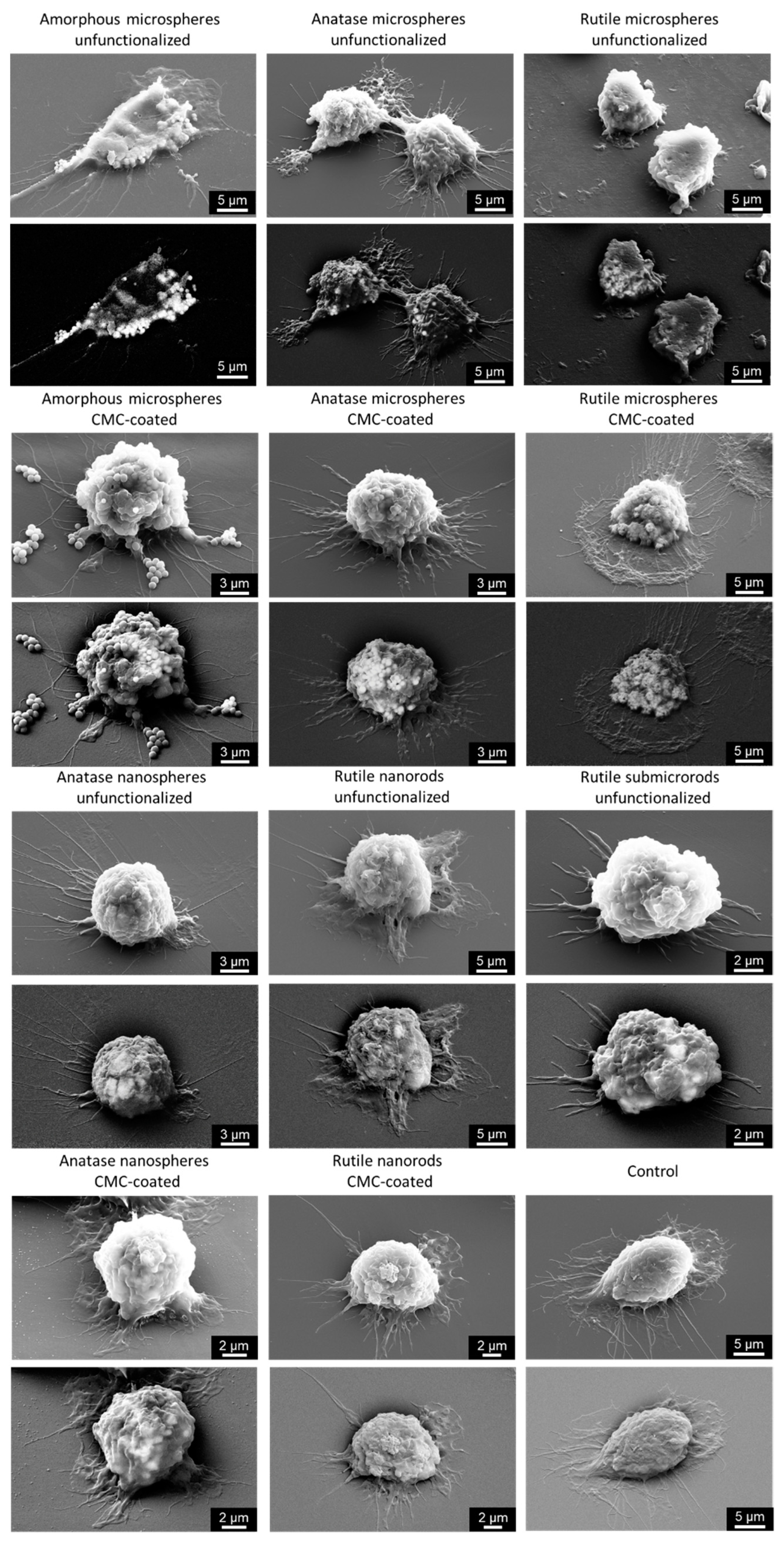 Nanomaterials 13 01621 g006
