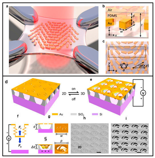 Nanomaterials 13 01633 g007