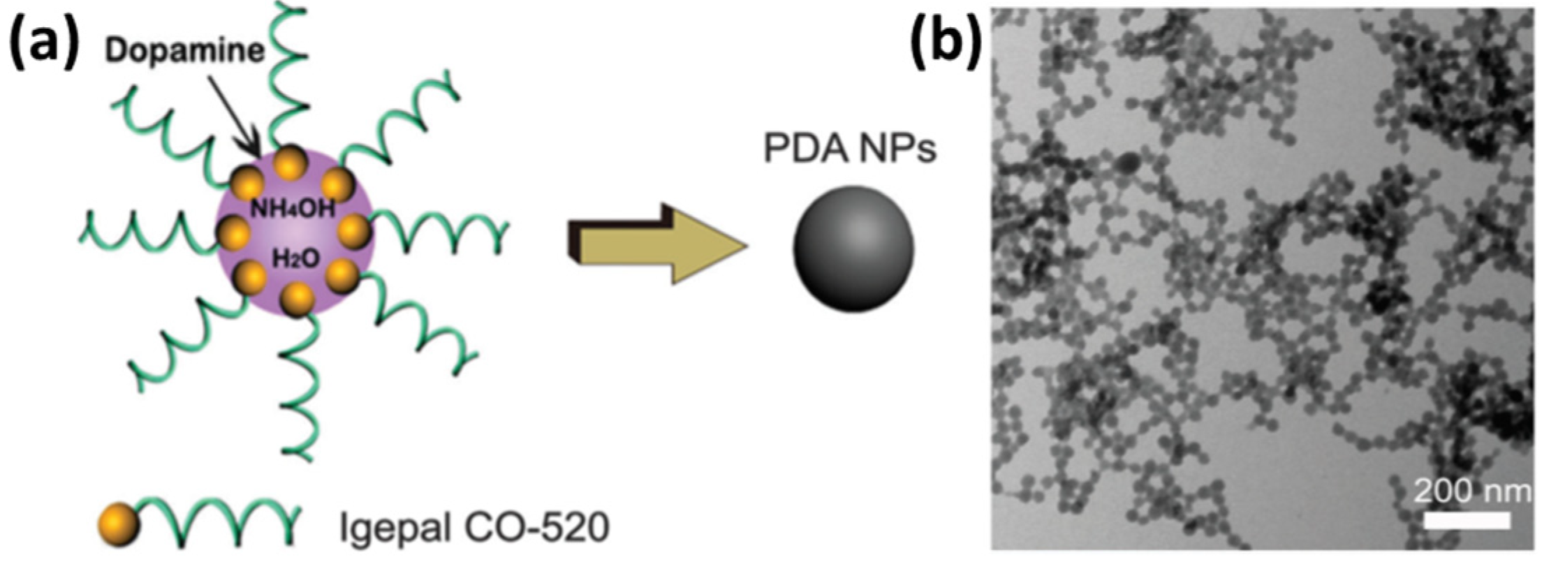 Nanomaterials 13 01656 g004
