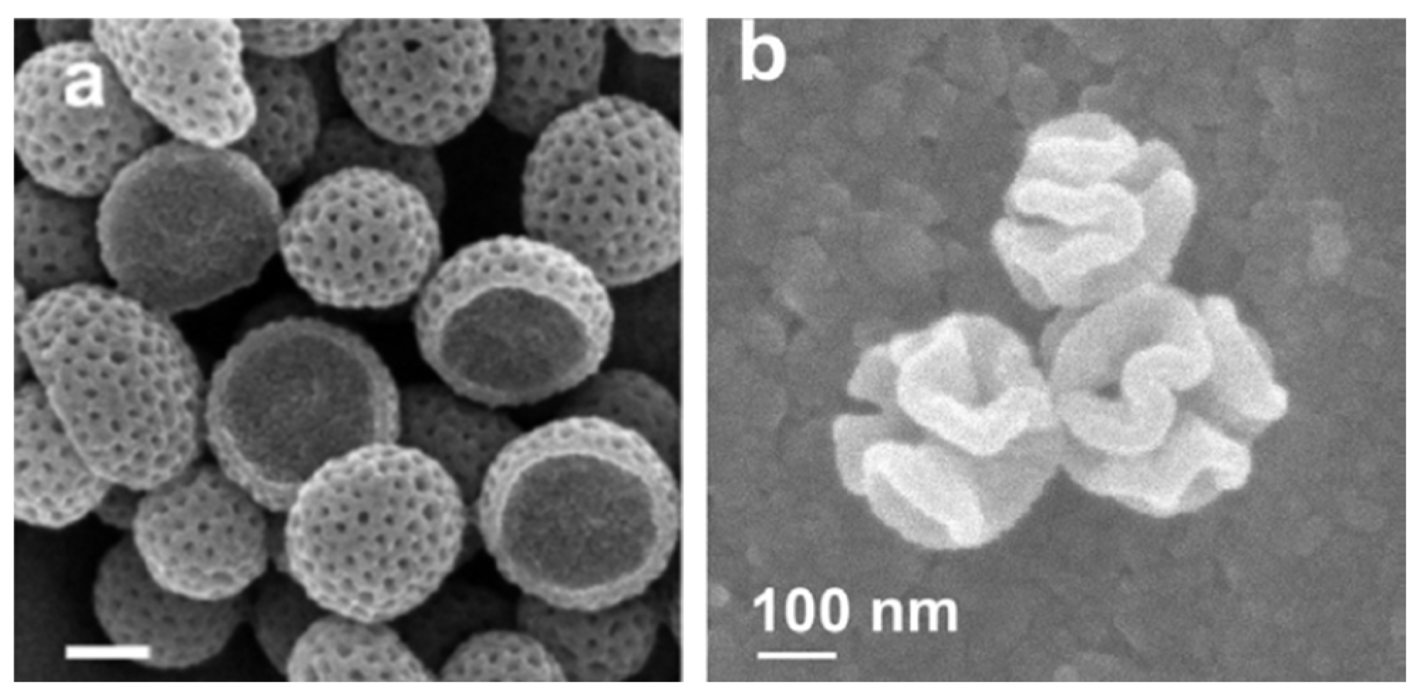 Nanomaterials 13 01656 g005