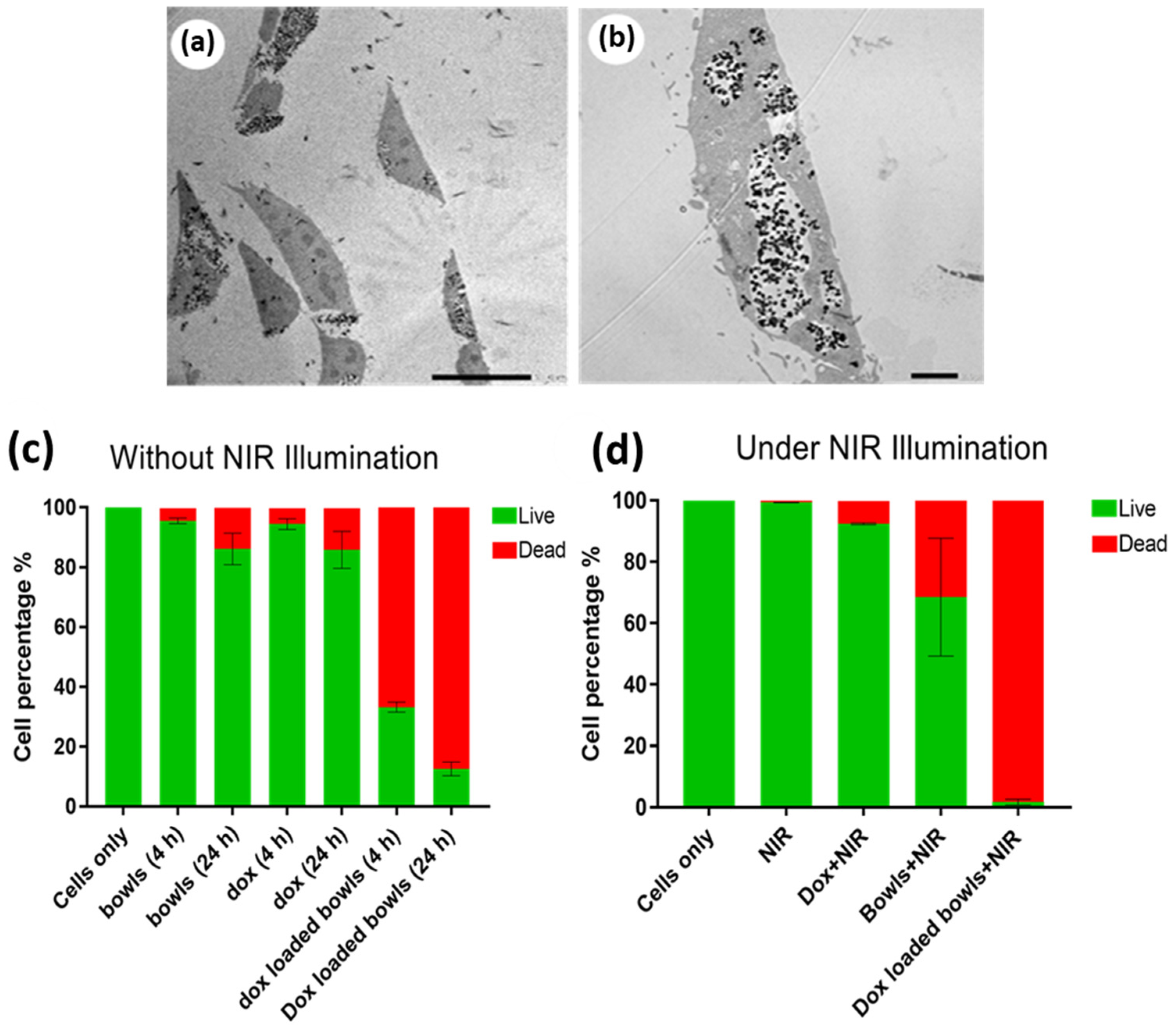 Nanomaterials 13 01656 g008