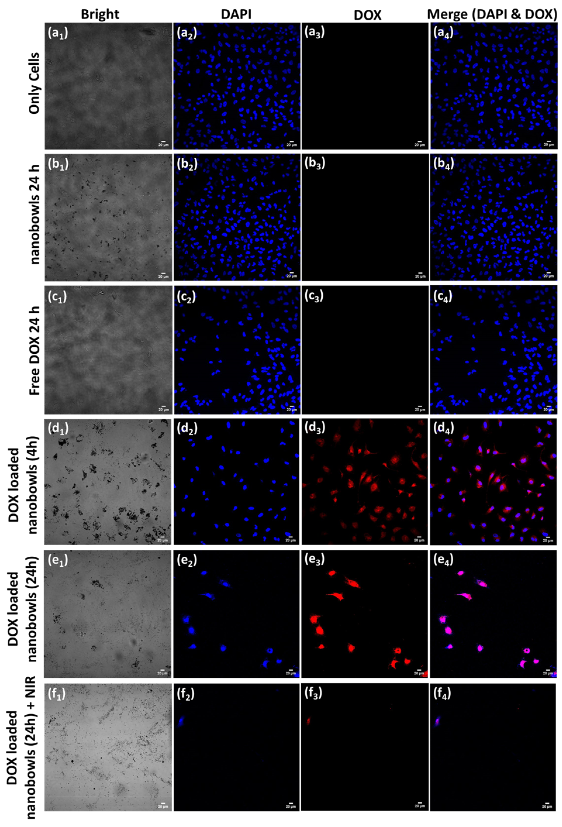 Nanomaterials 13 01656 g009