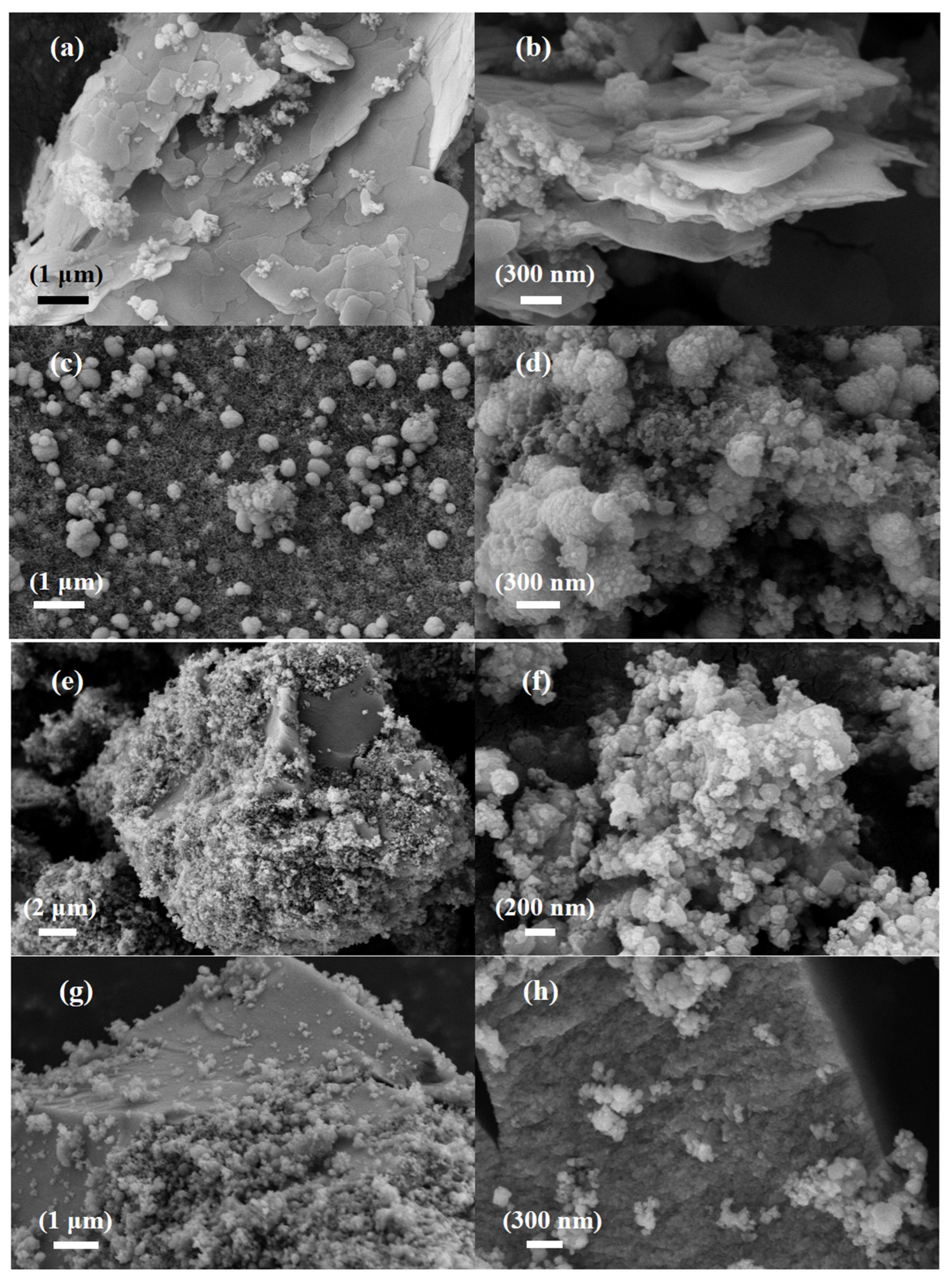 Nanomaterials 13 01664 g002a Nanomaterials 13 01664 g002a