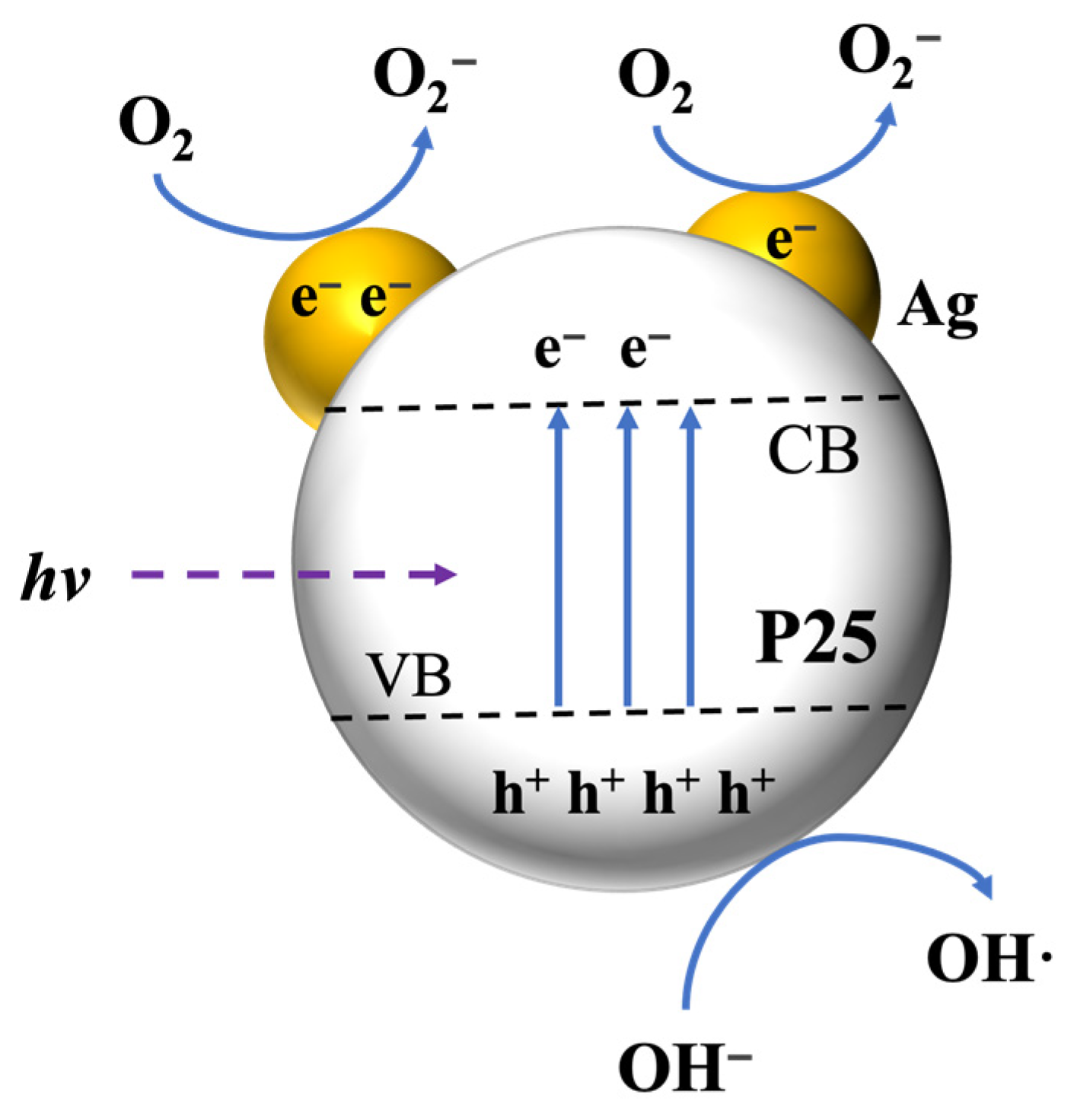 Nanomaterials 13 01666 g010
