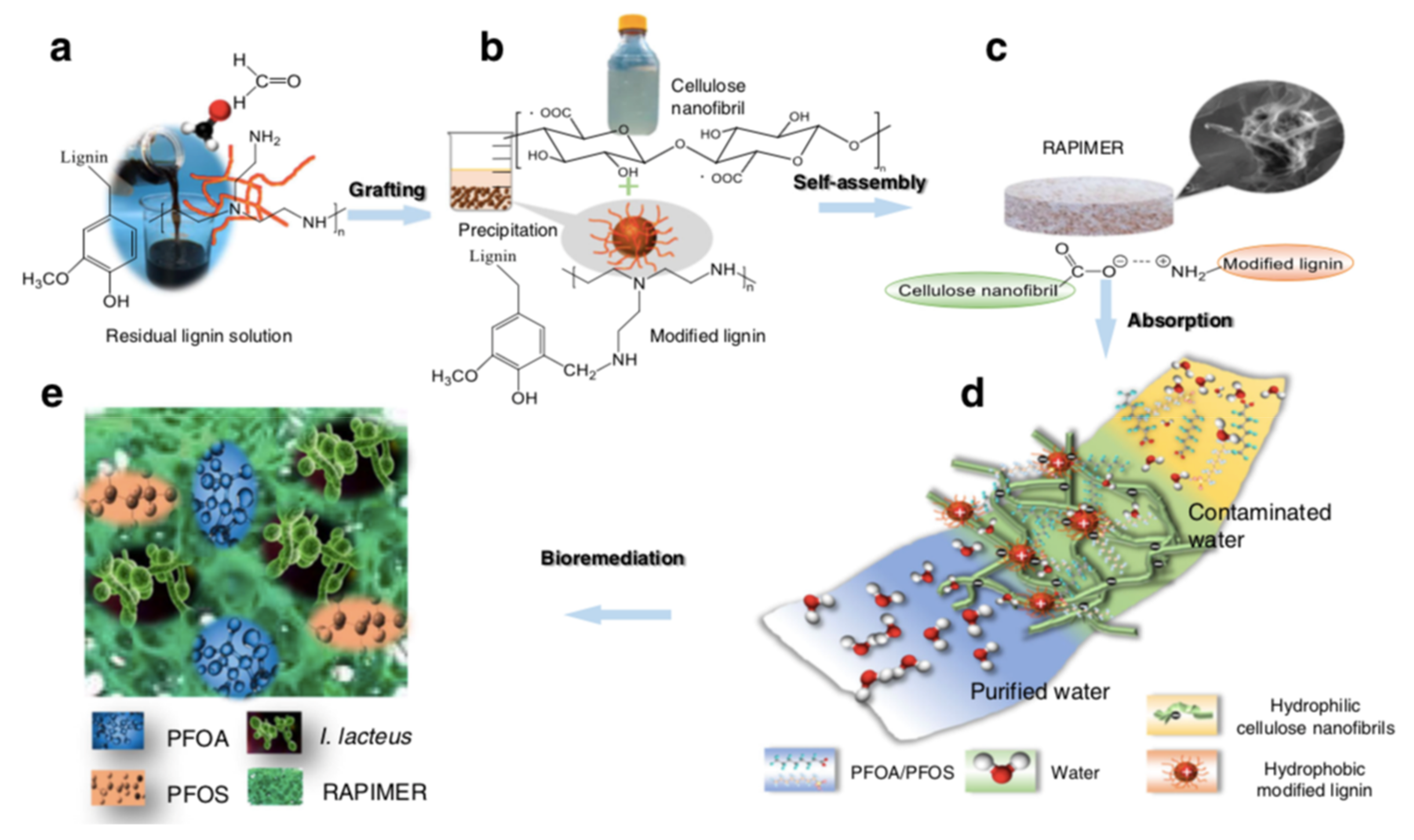 Nanomaterials 13 01668 g007 Nanomaterials 13 01668 g007