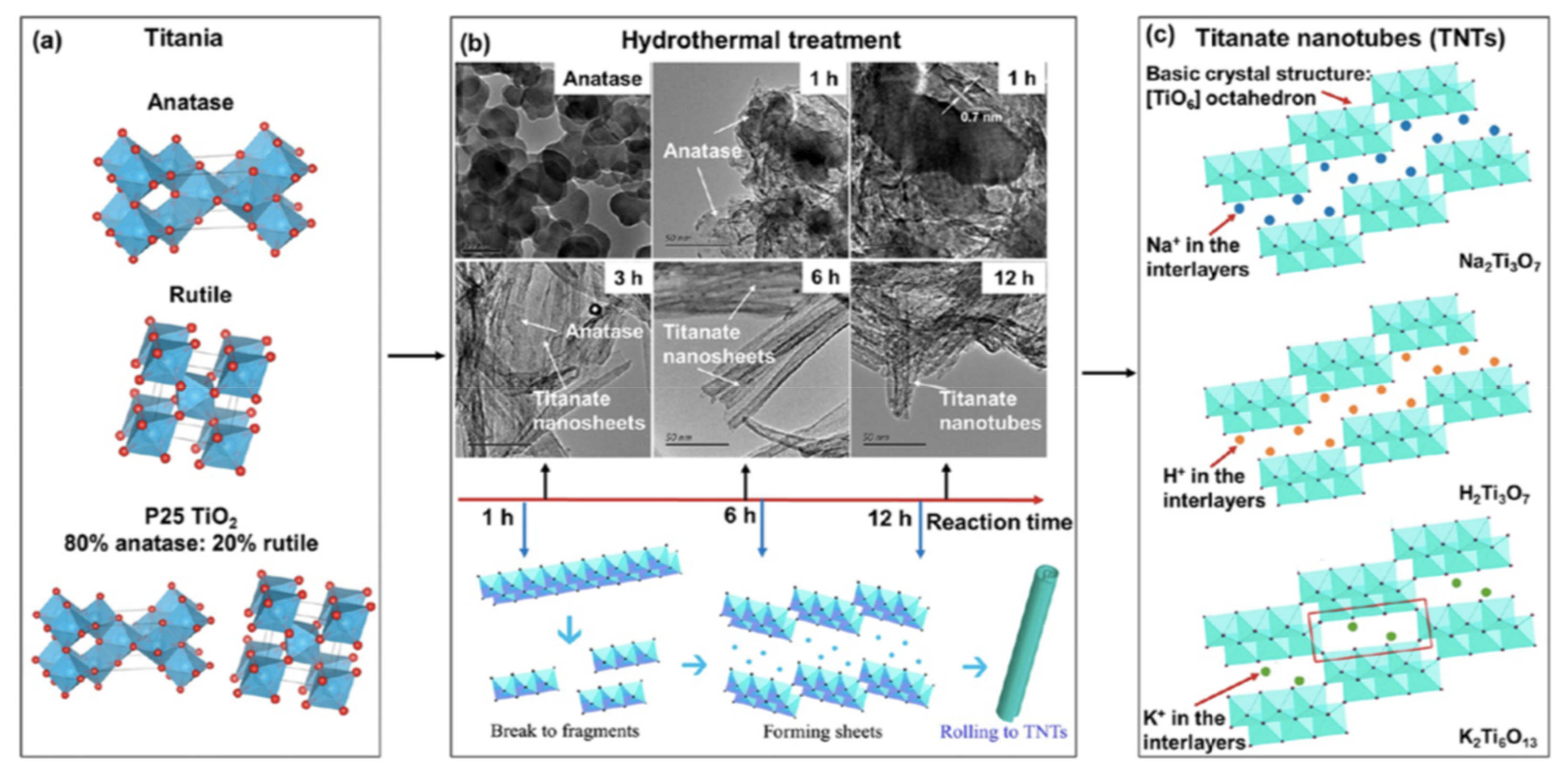 Nanomaterials 13 01668 g009 Nanomaterials 13 01668 g009