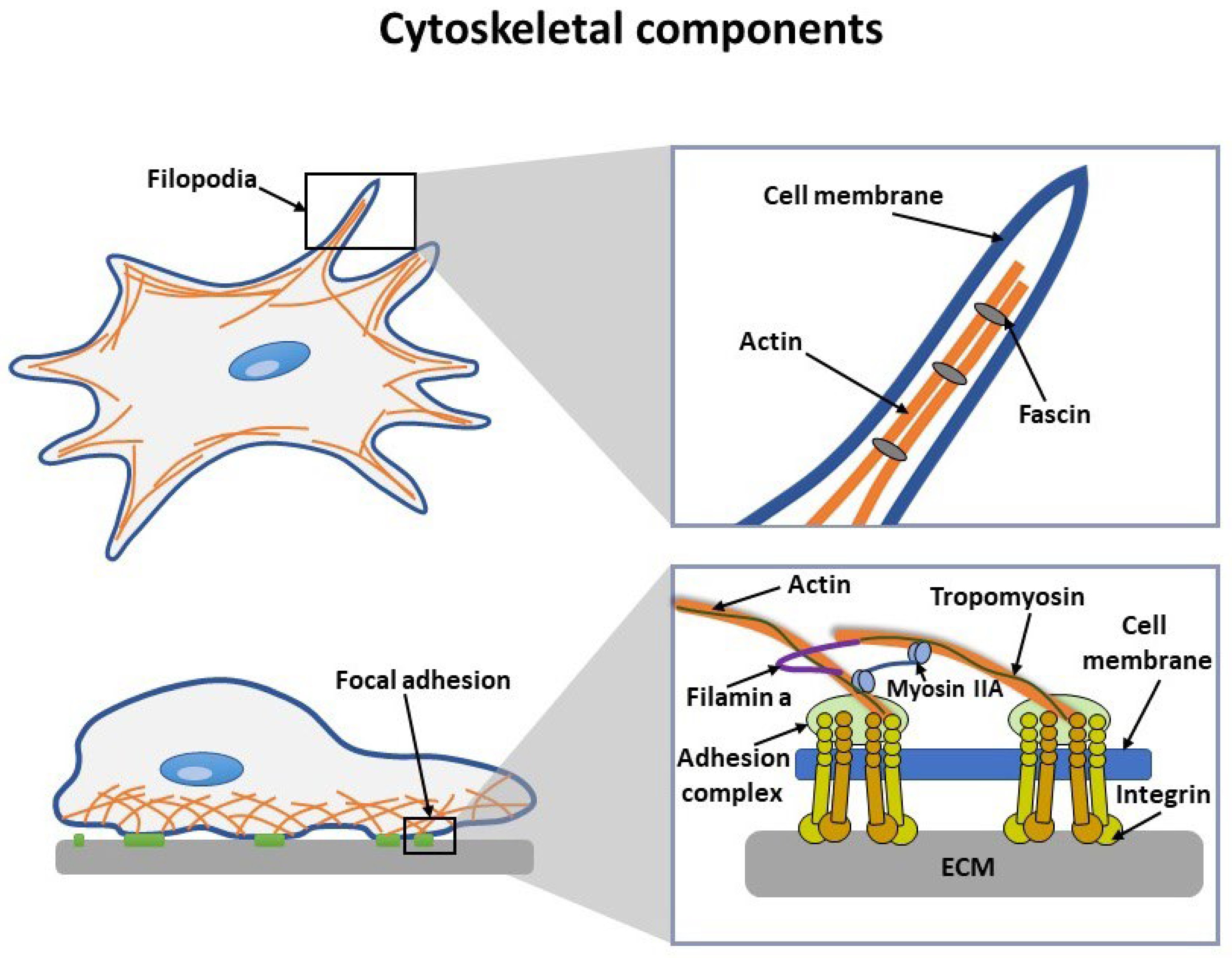 Nanomaterials 13 01682 g002